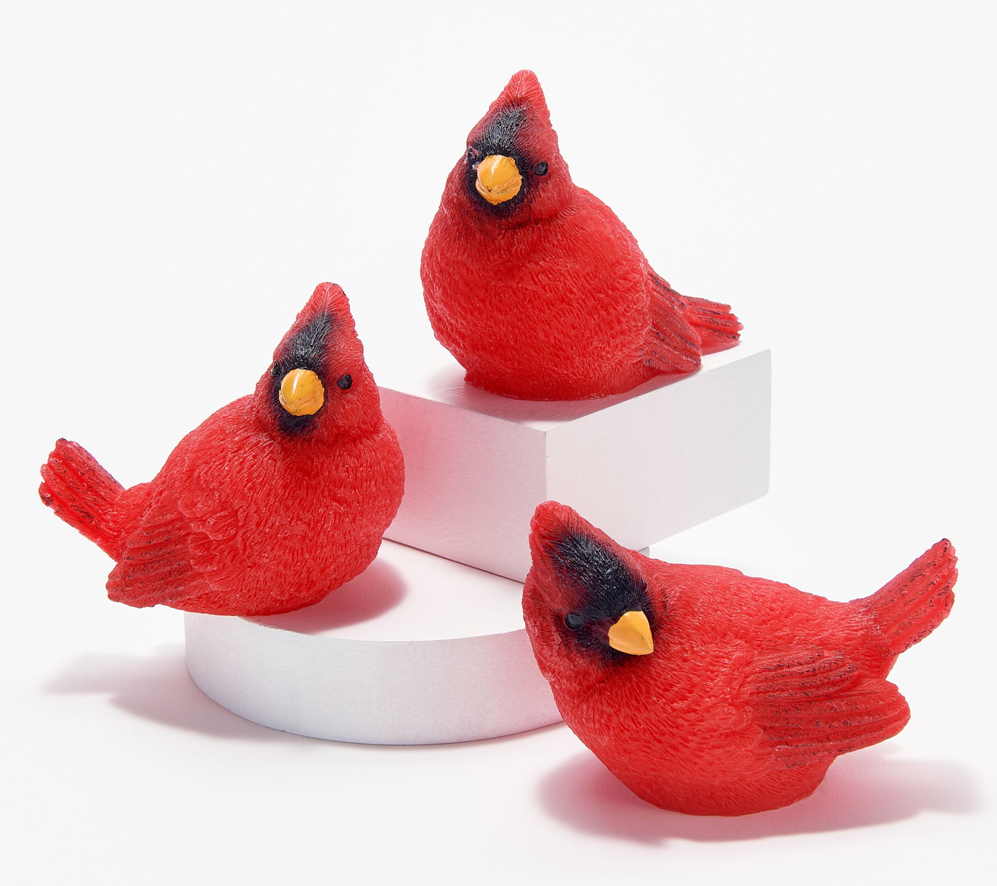 cardinal bird slippers