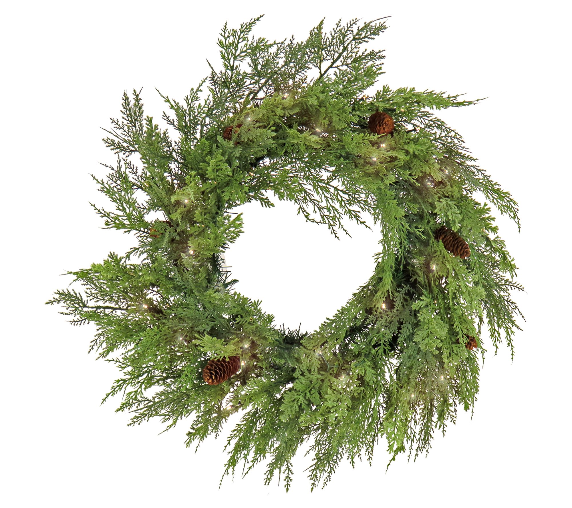 National Tree 26