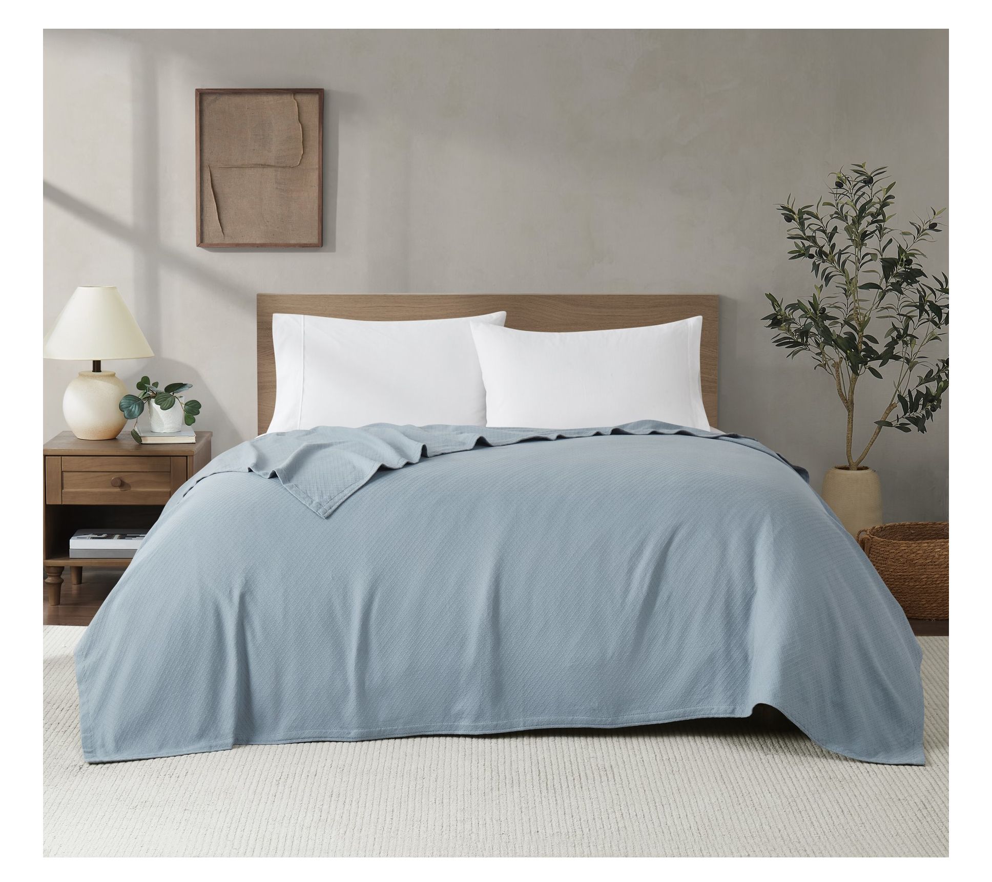 Royal Velvet Dream Cotton Full/Queen Blanket