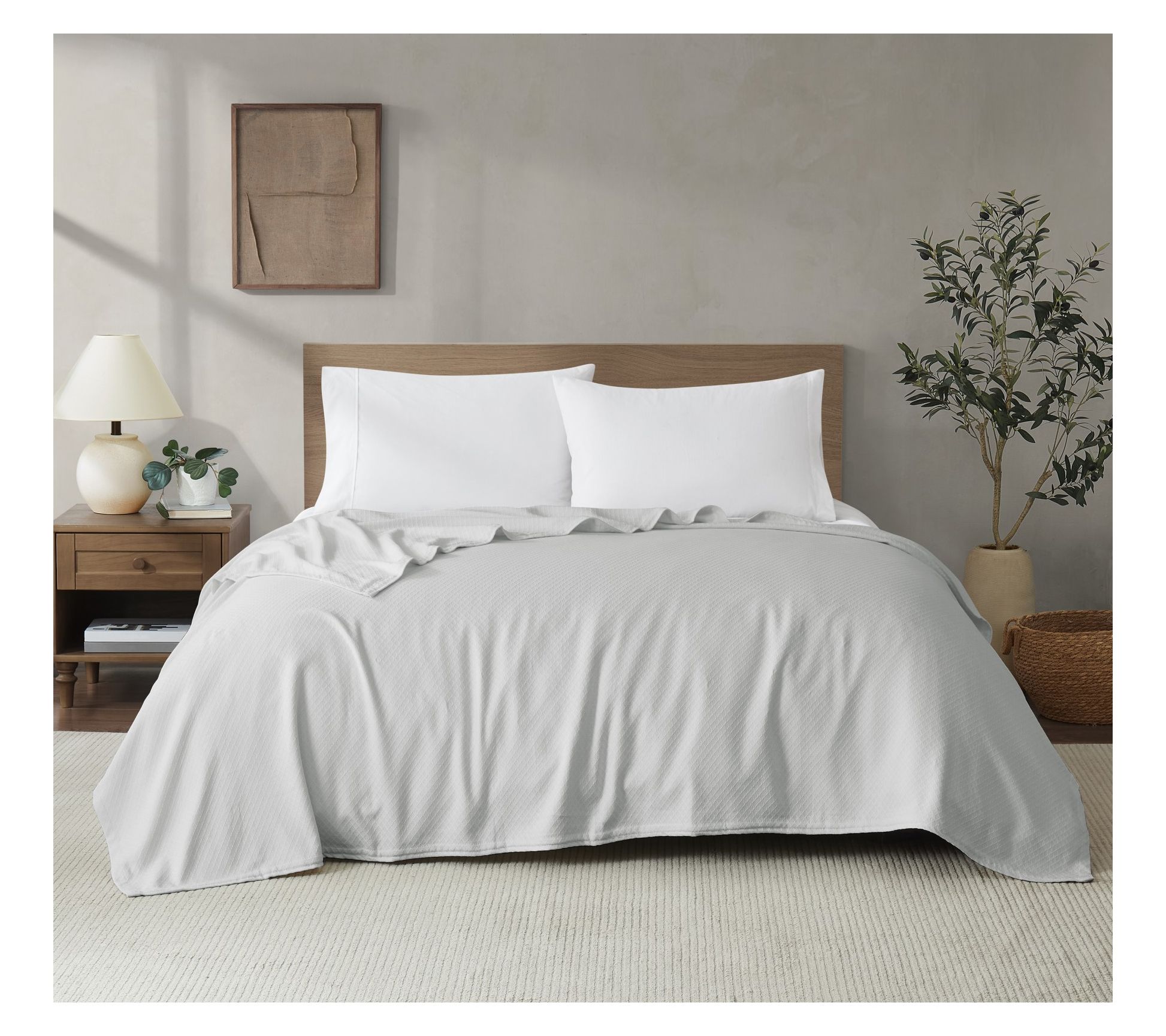 Royal Velvet Dream Cotton Full/Queen Blanket