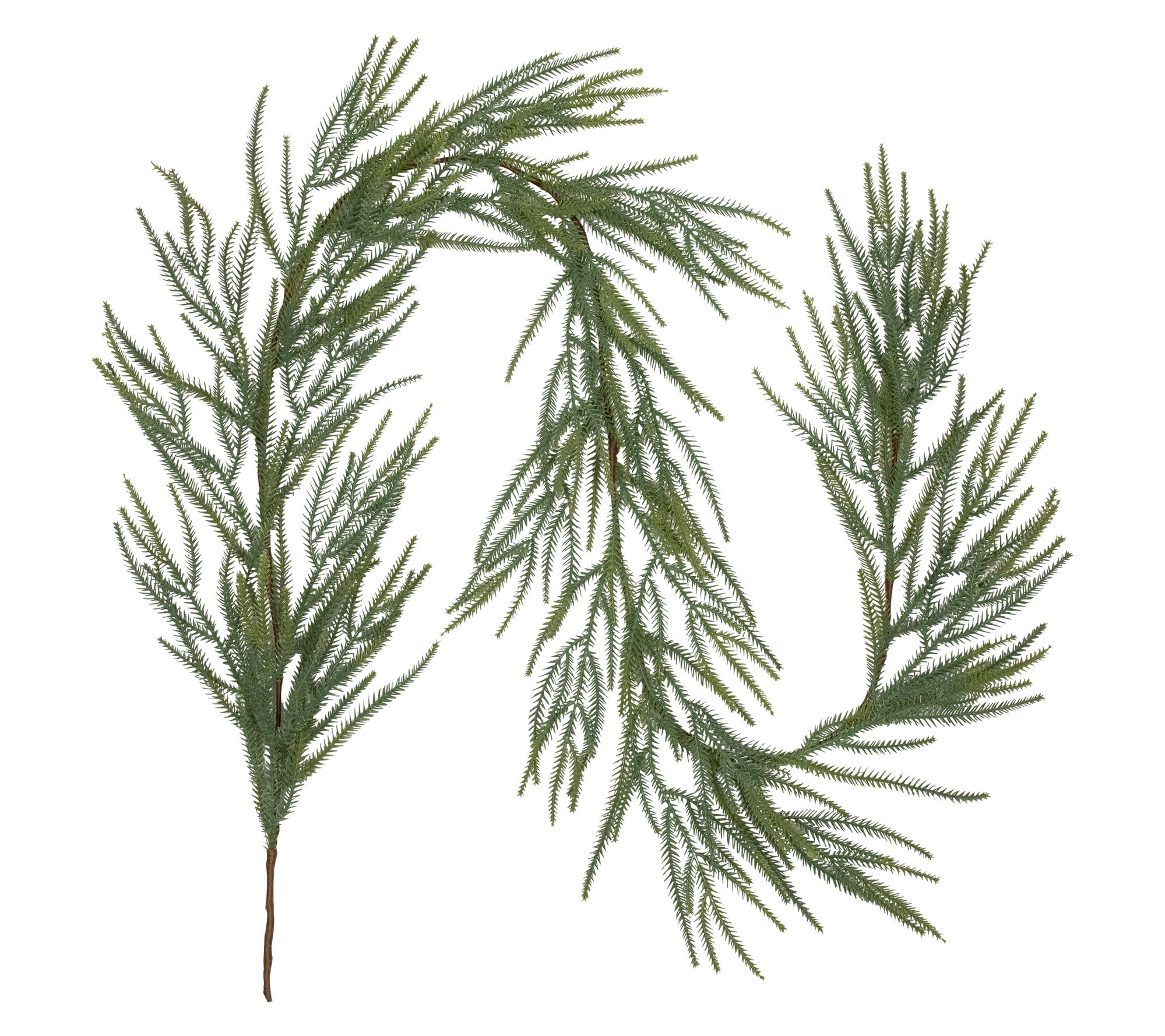 Northlight Norfolk Pine Christmas Garland 7' Unlit