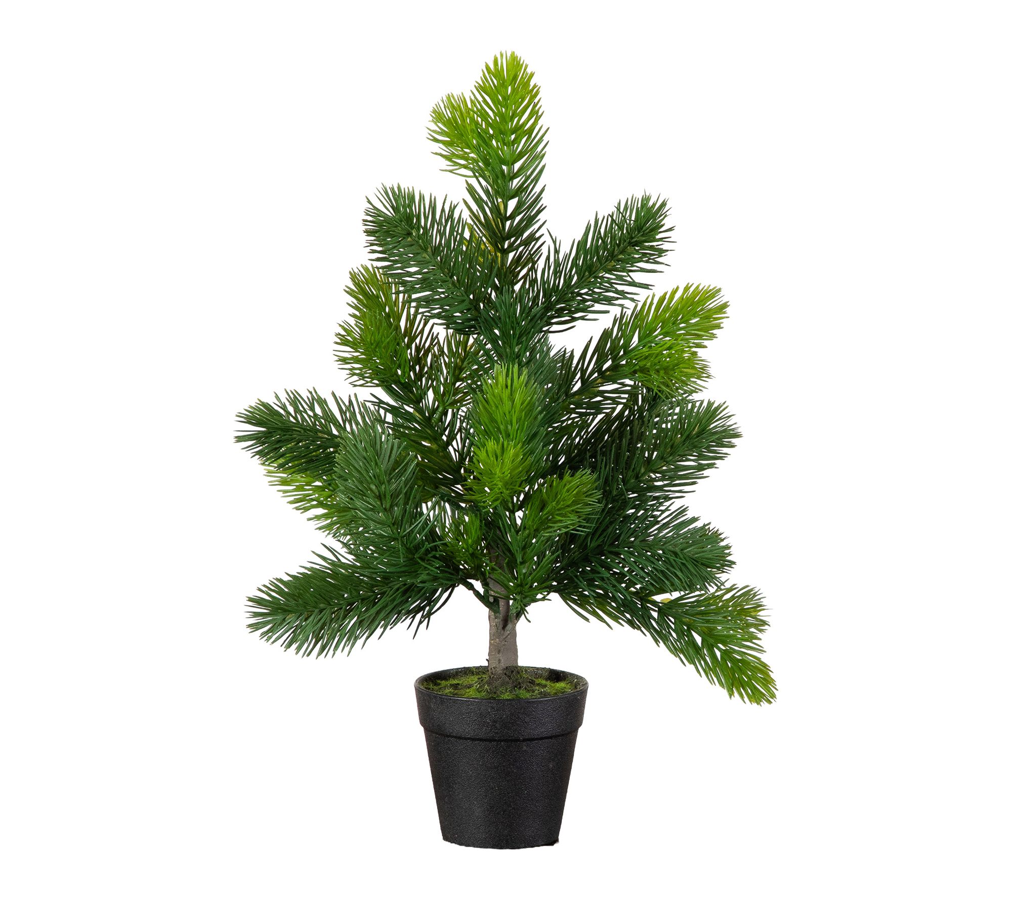 18-in Real Touch Spruce Pine  Tree by Nearly Natural