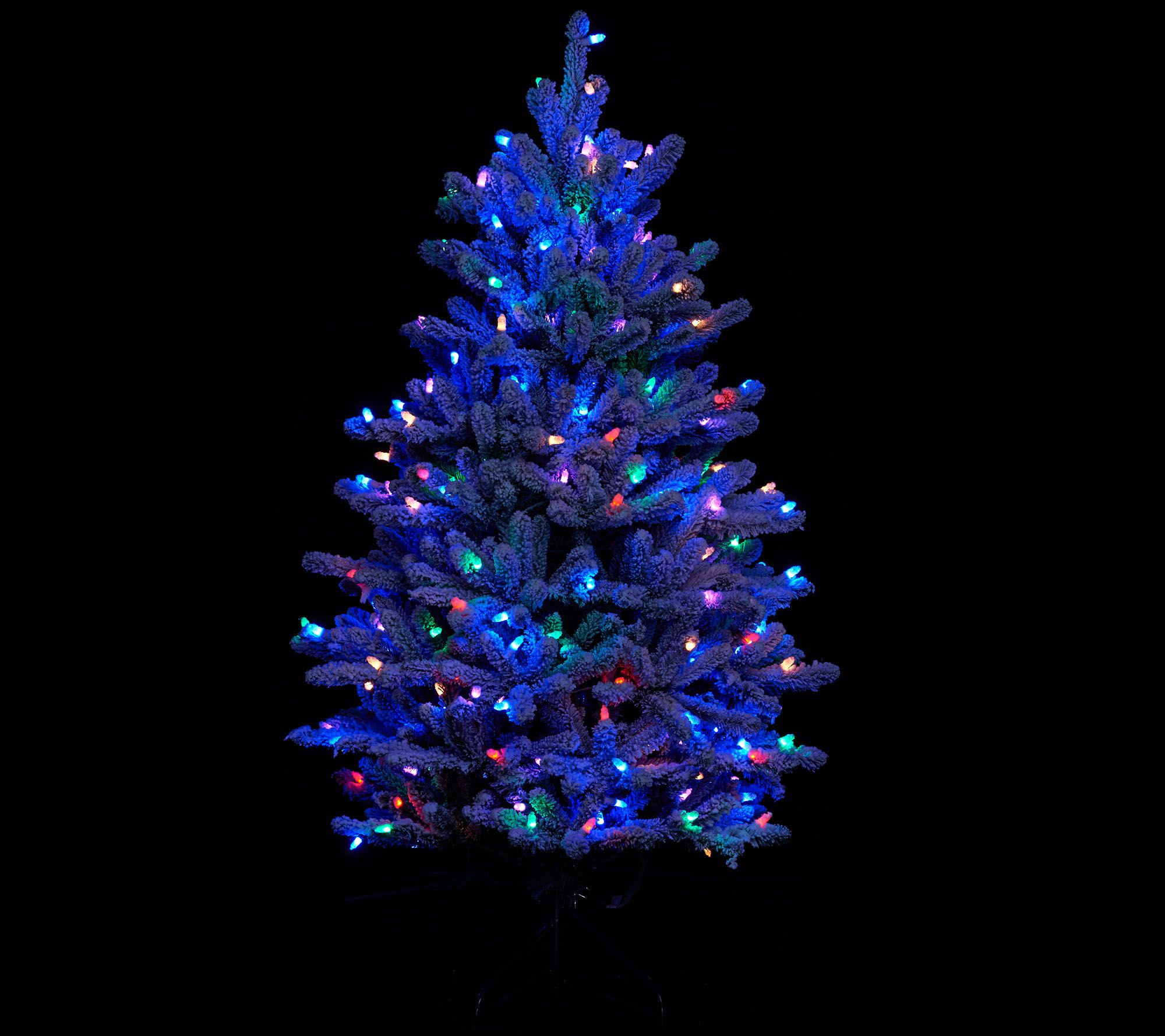Santa's Best 5' RGB 2.0 Flocked Balsam Fir Christmas Tree - QVC.com