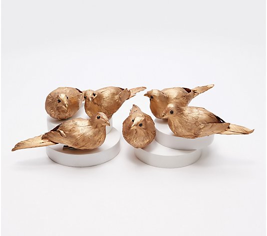 Martha Stewart Set of 6 Metallic Feathered Birds