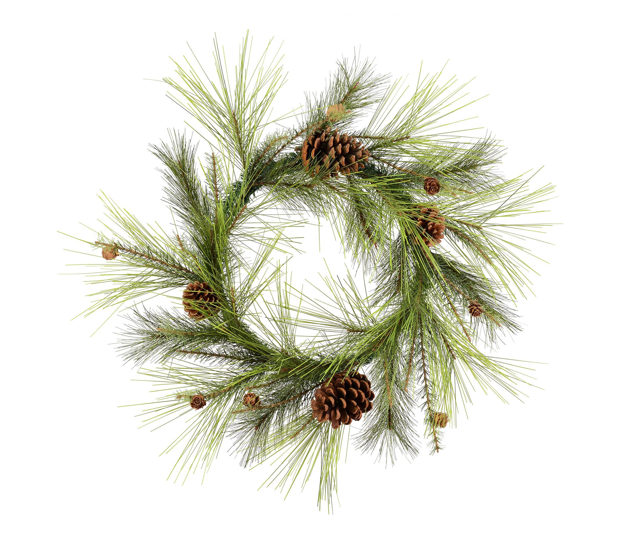 Vickerman 24" Larkspur Pine Christmas Wreath