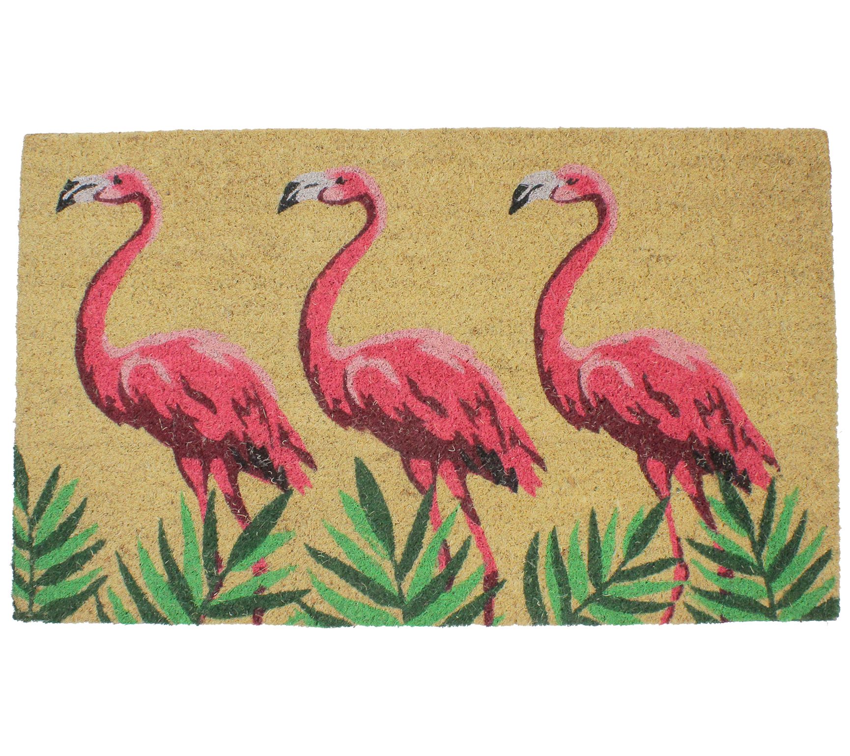 Northlight 18" x 30" Pink & Green Flamingos Fun Doormat