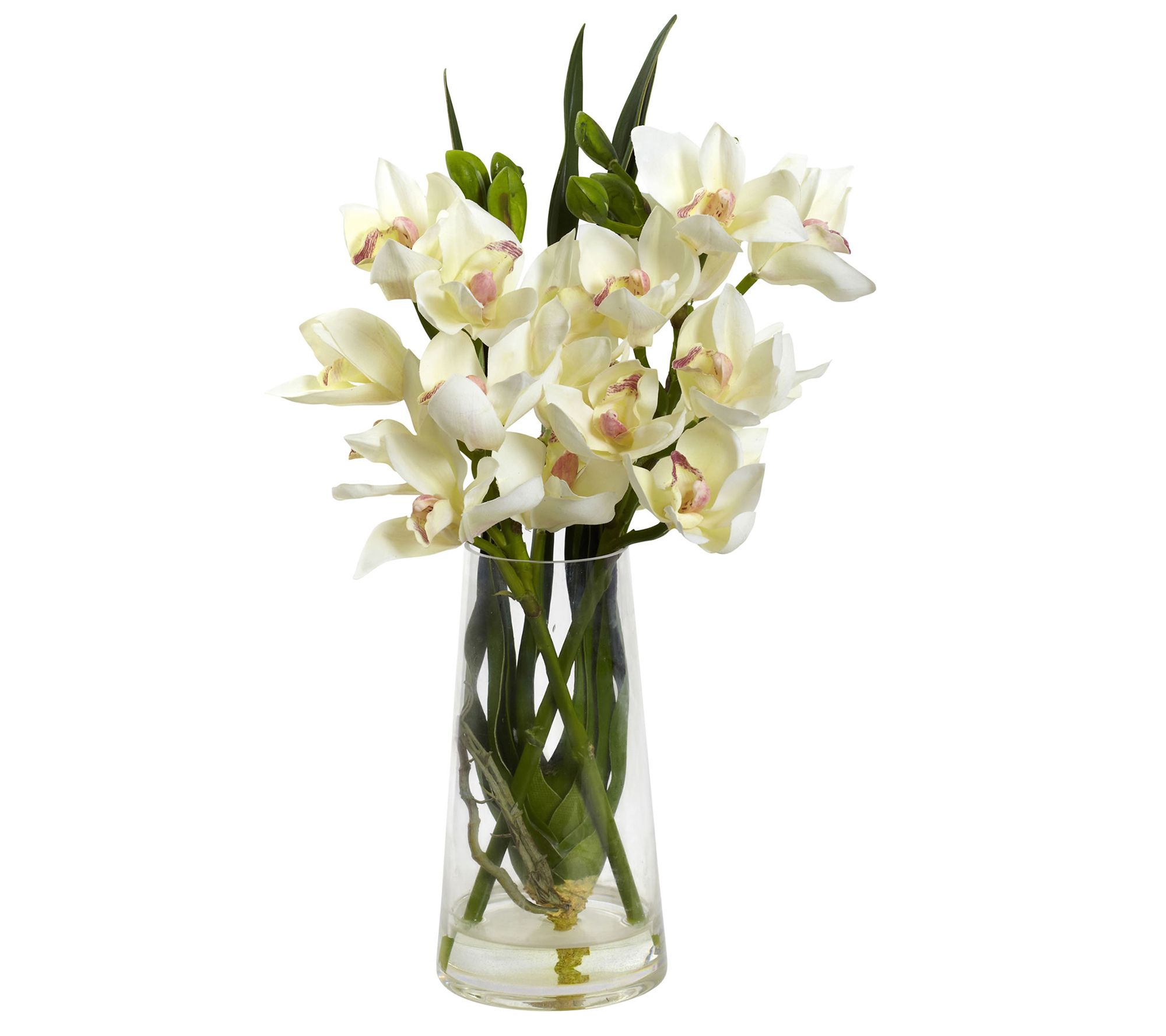 Cymbidium Orchid with Vase by Nearly Natural