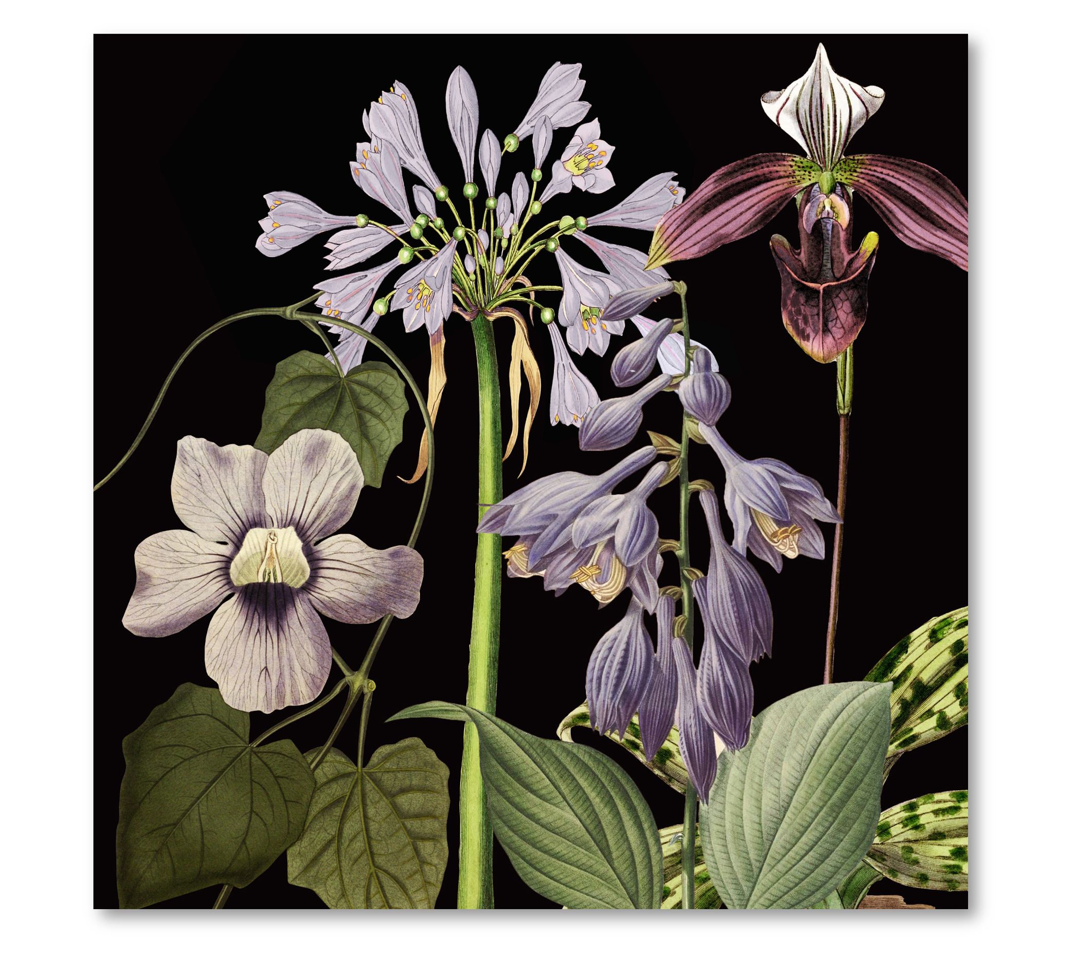 Courtside Market Dusty Plum Botanical I 16x16 C anvas Wall Art