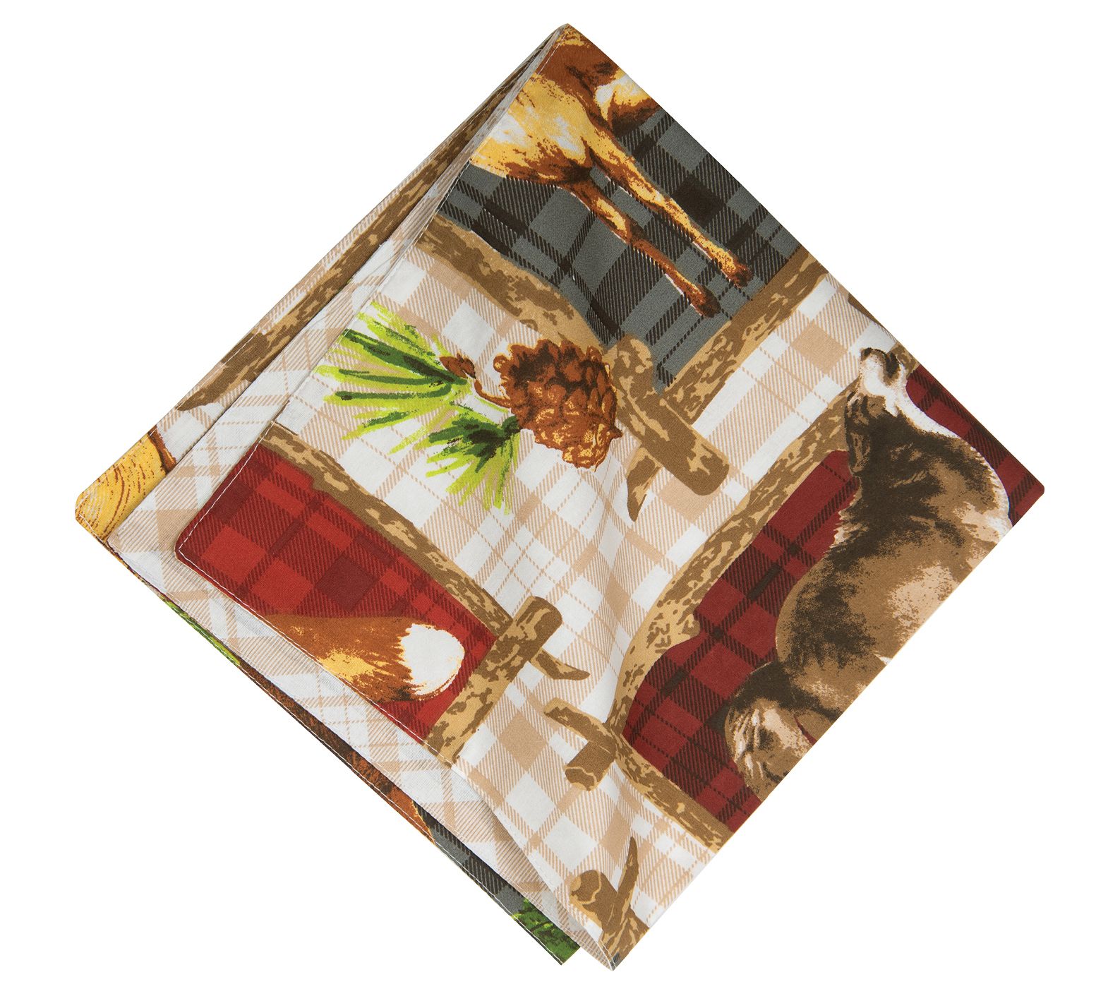 20" x 20" Bryson Retreat Napkins Set of 6 by Valerie