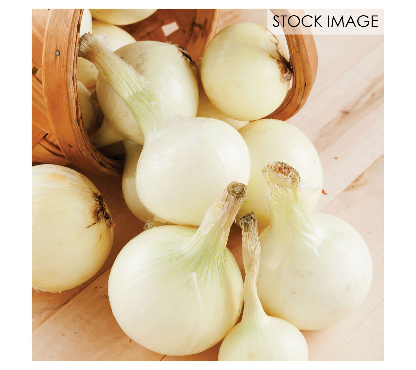 Van Zyverden Onion Sets White Set of 250 Bulbs