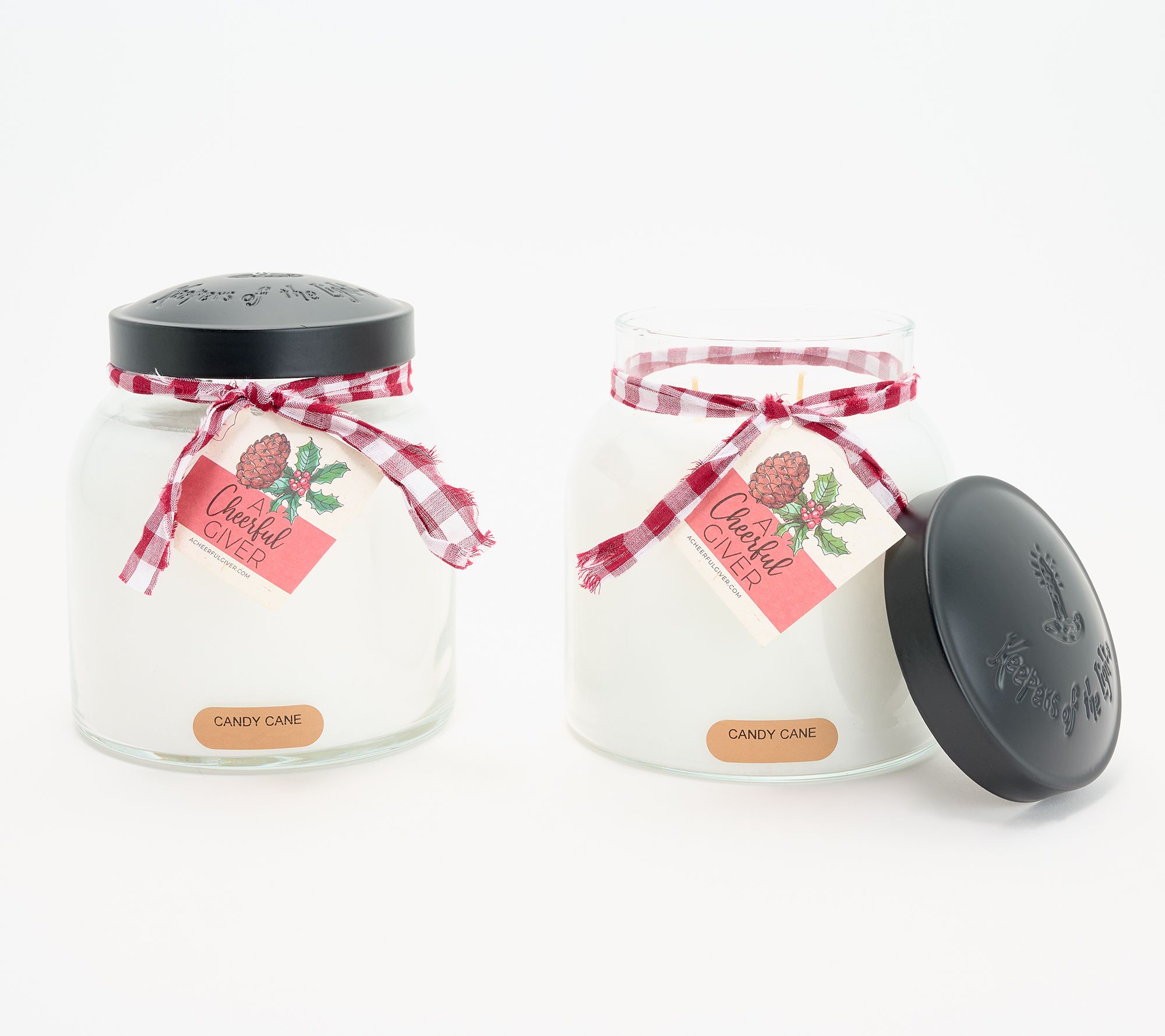 16oz. Plastic Mason Jars by Celebrate It™, 3ct.