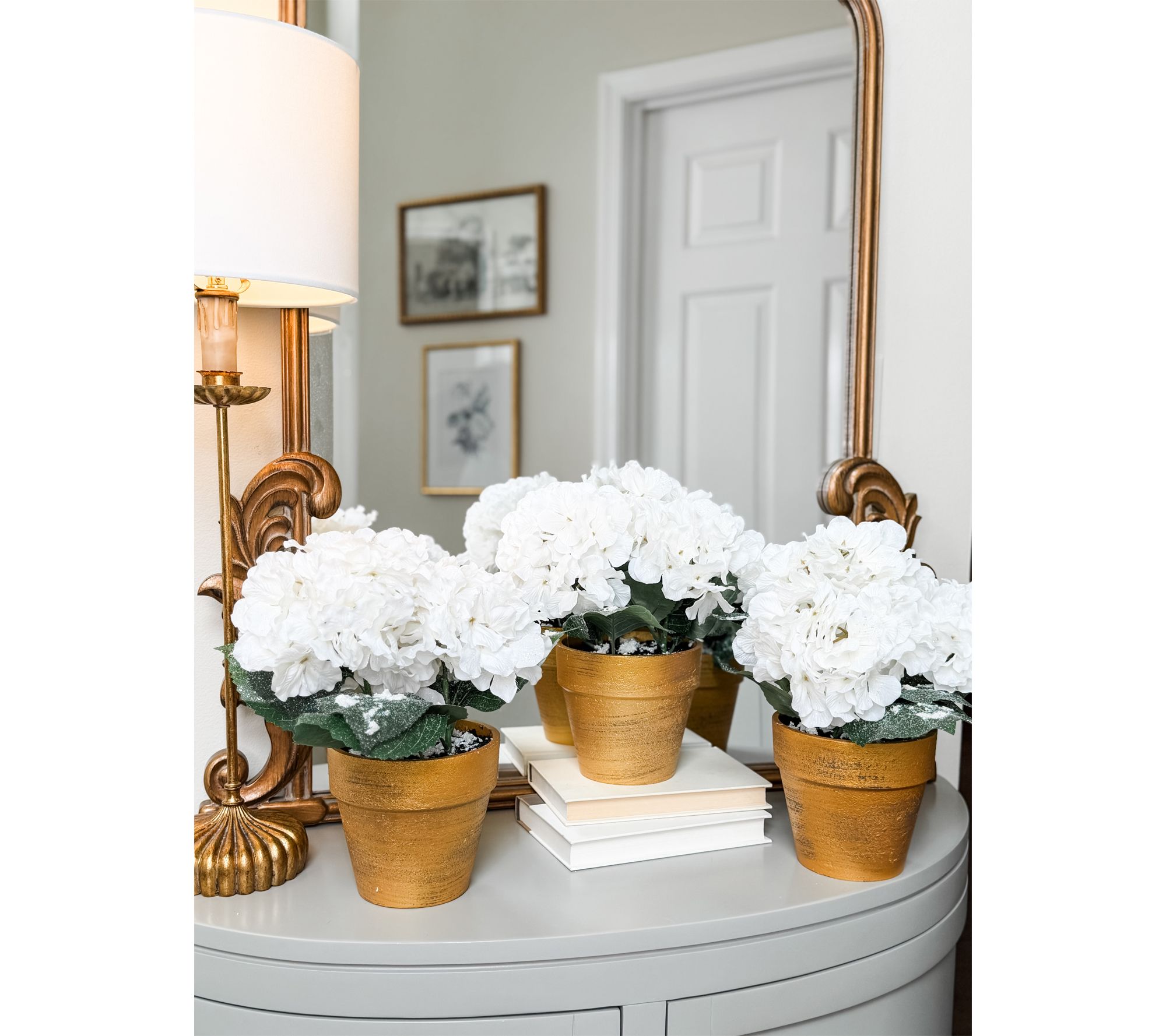 Simply Stunning Set of 3 Potted Winter Hydrangeas by Janine Graff