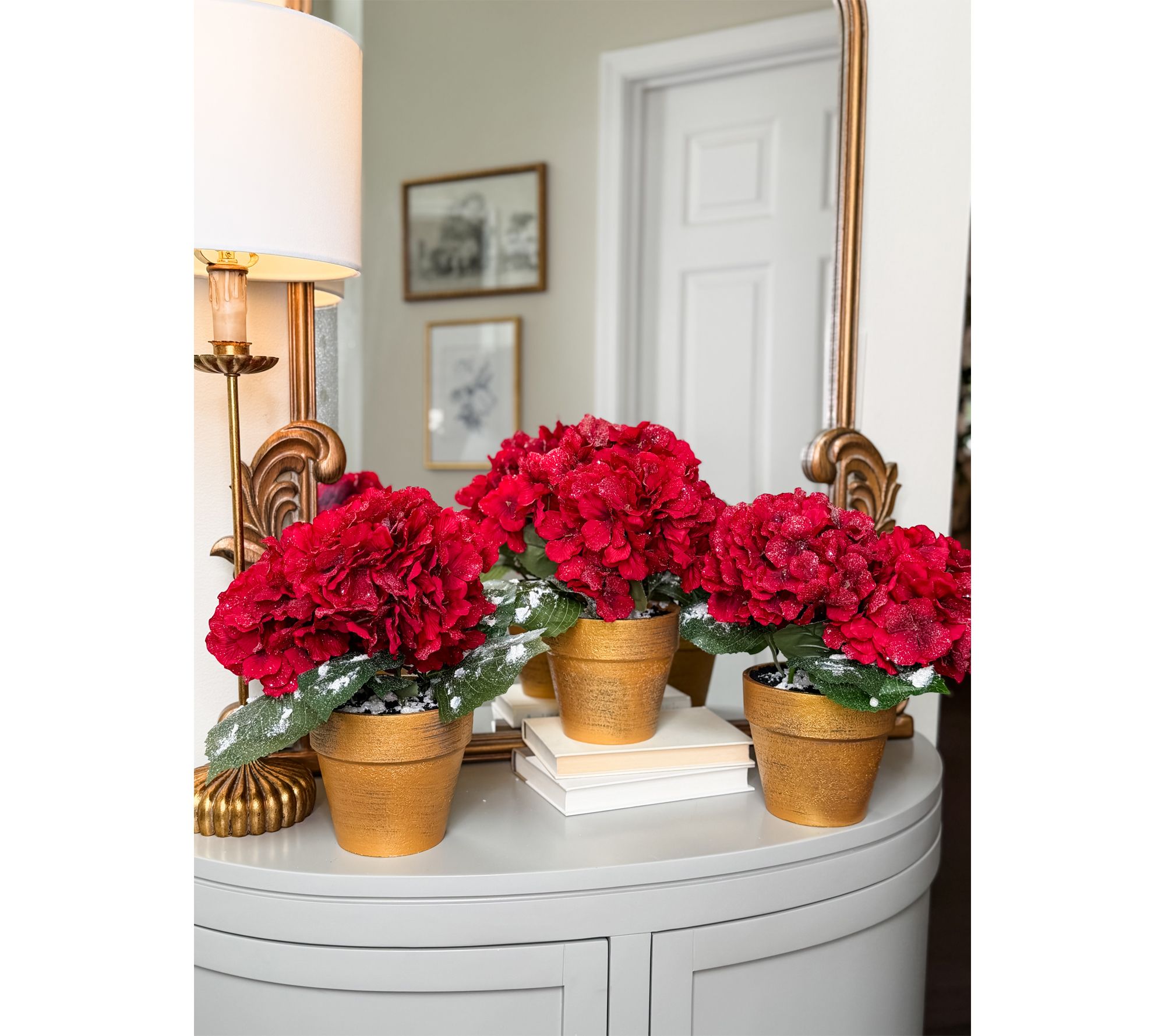 Simply Stunning Set of 3 Potted Winter Hydrangeas by Janine Graff