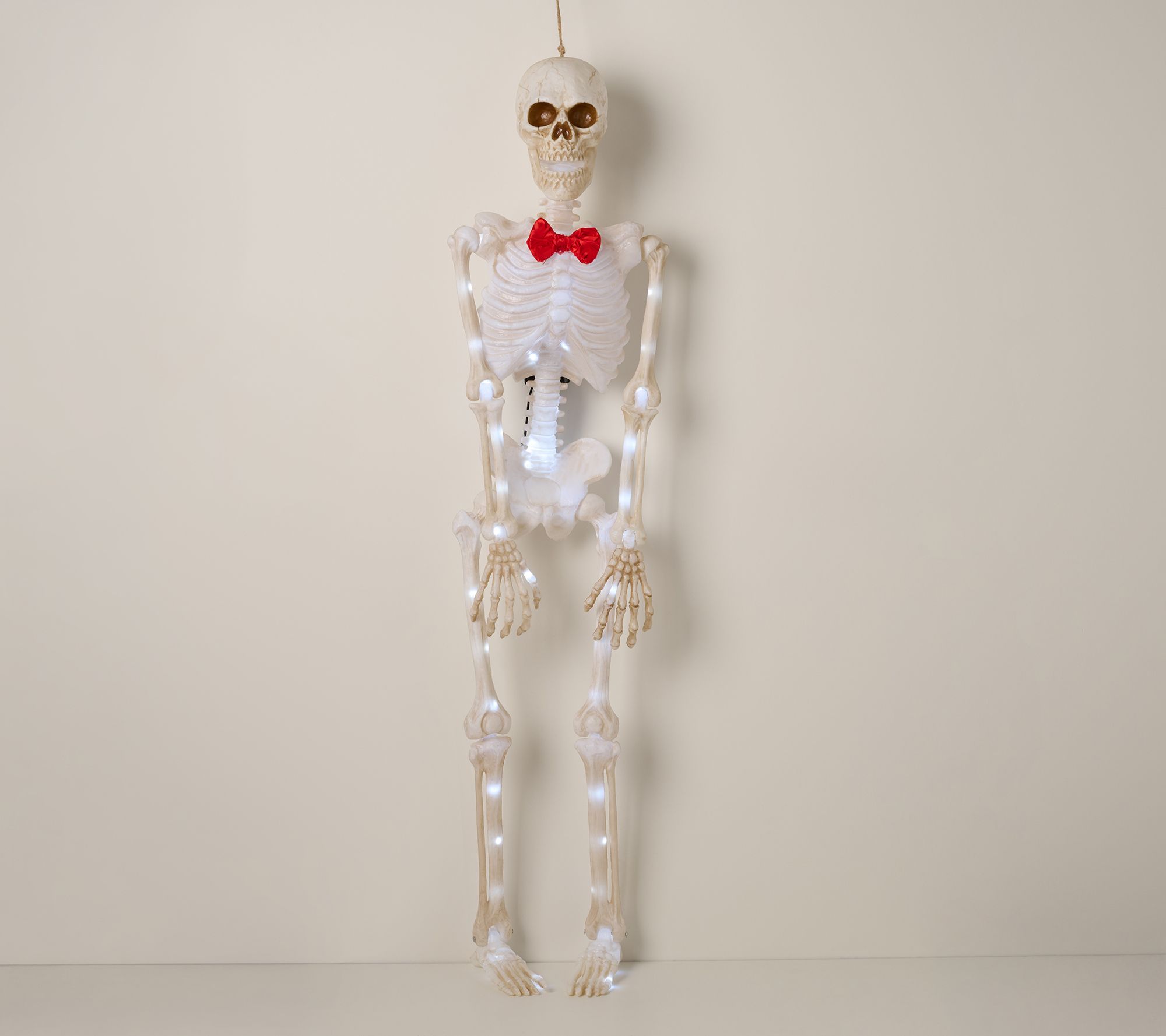 5' Illuminated Indoor/Outdoor Skeleton by Mally Roncal