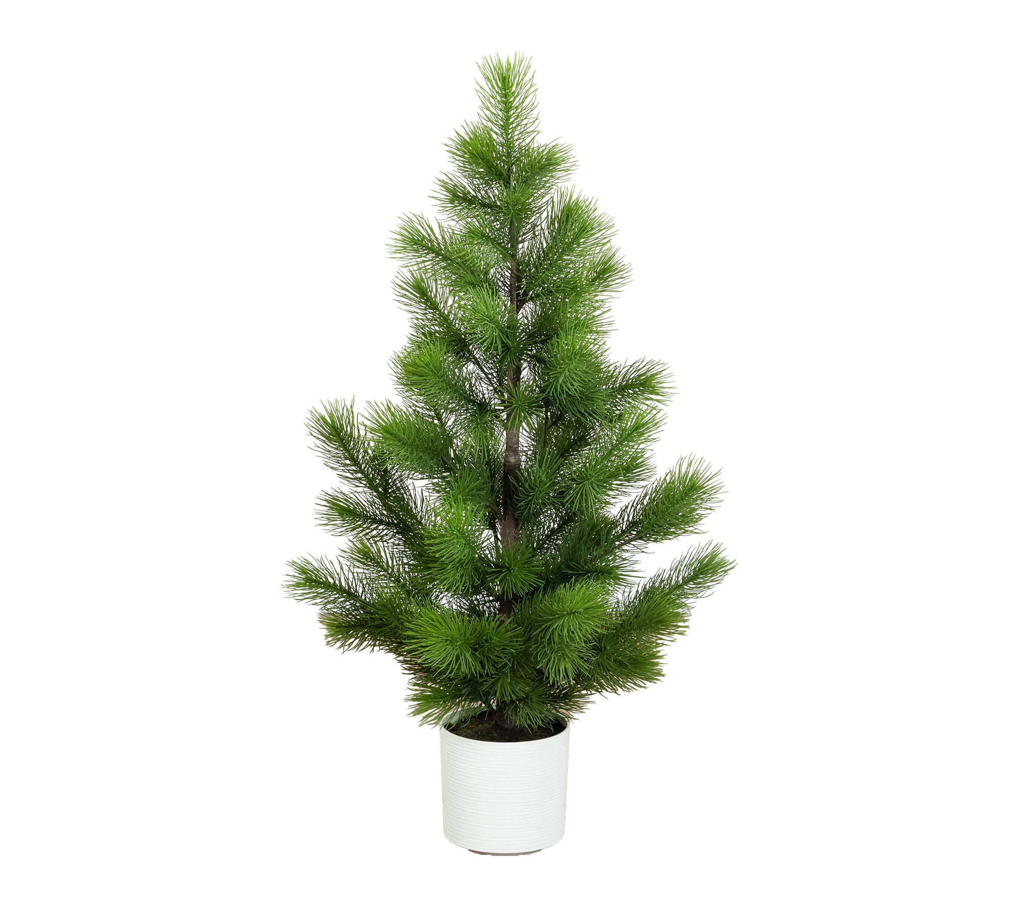 4-ft Real Touch Masson Pine Tree in Planter by Nearly Natural
