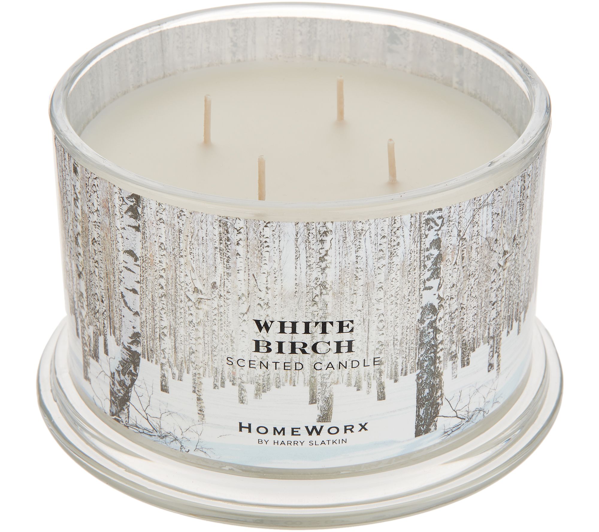 HomeWorx by Harry Slatkin Set of 2 White Birch 4-Wick Candles - QVC.com