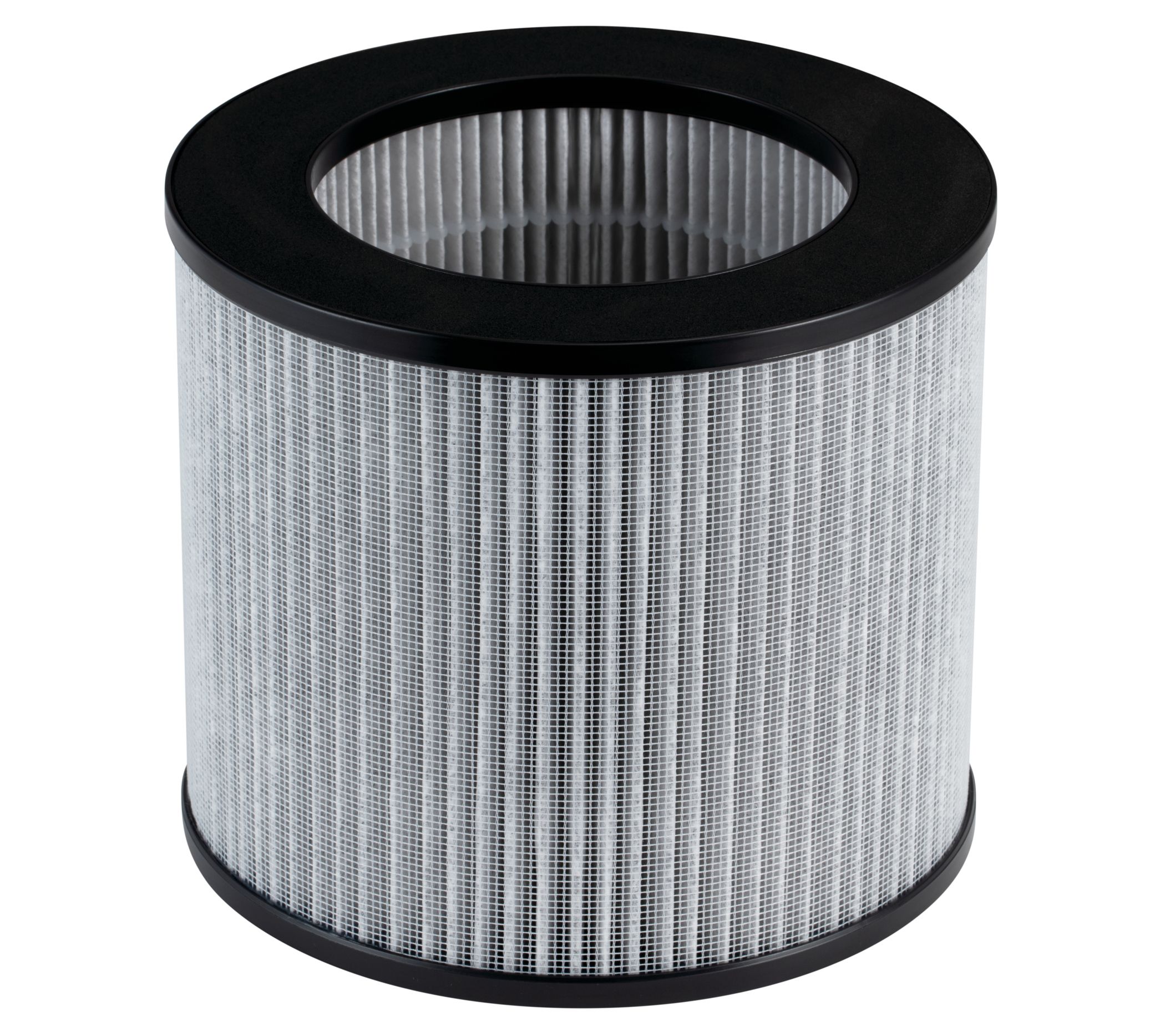 Bissell Filter MyAir Personal Air Purifier