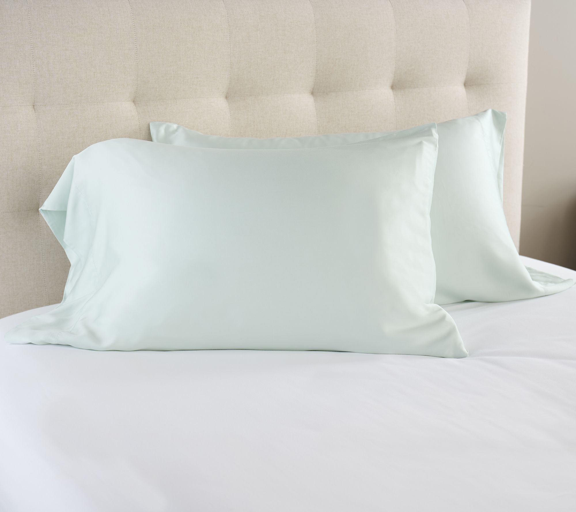 "As Is" Home Reflections Set of 2 Rayon from Bamboo Pillowcases