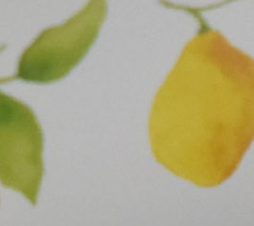 Lemons & Palm