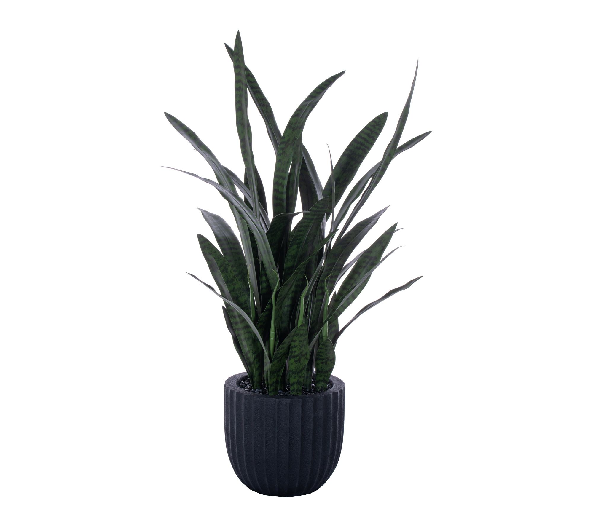 Vickerman 47" Dark Green Sansevieria Potted UV