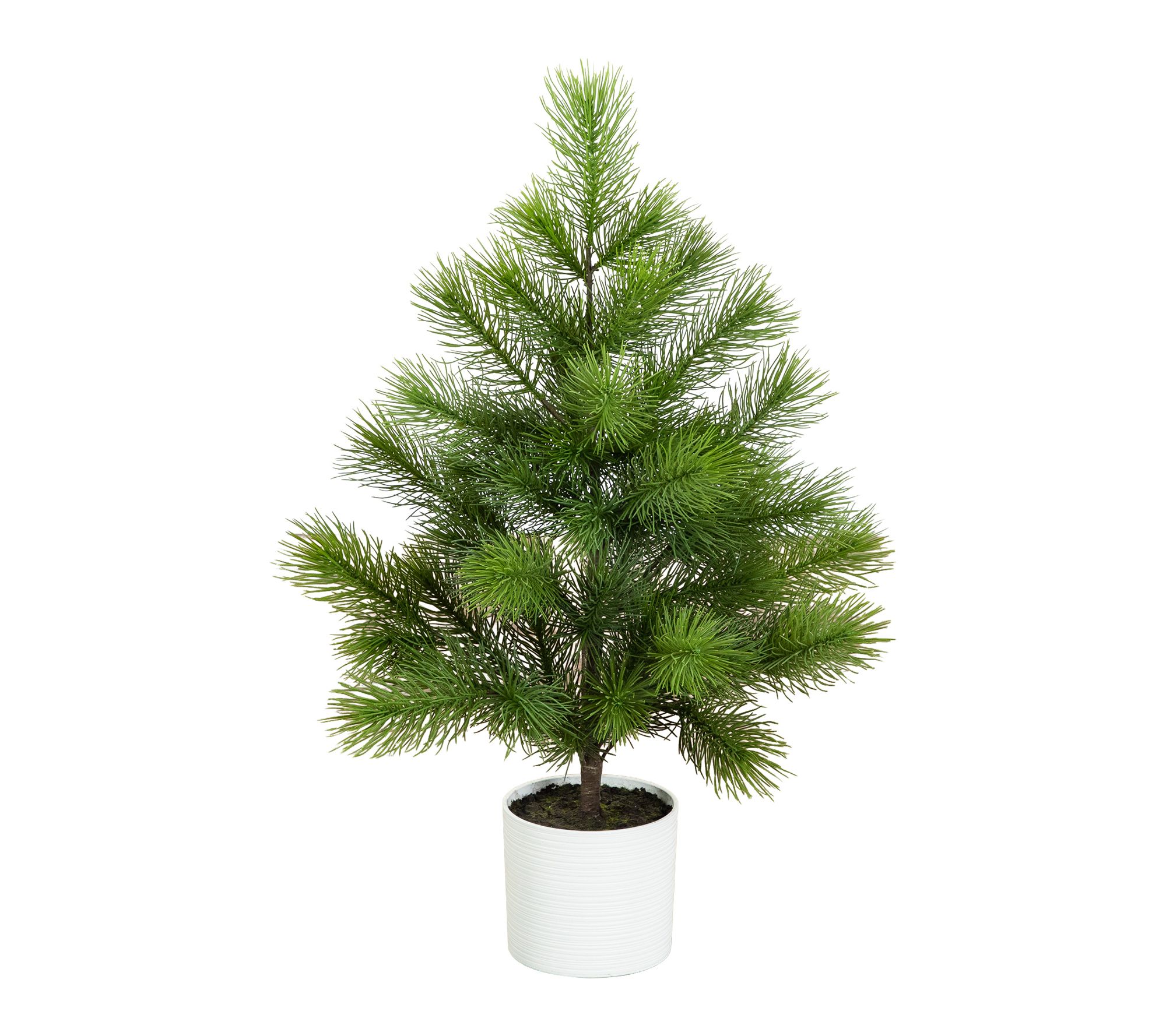 3-ft Real Touch Masson Pine Tree in Planter by Nearly Natural