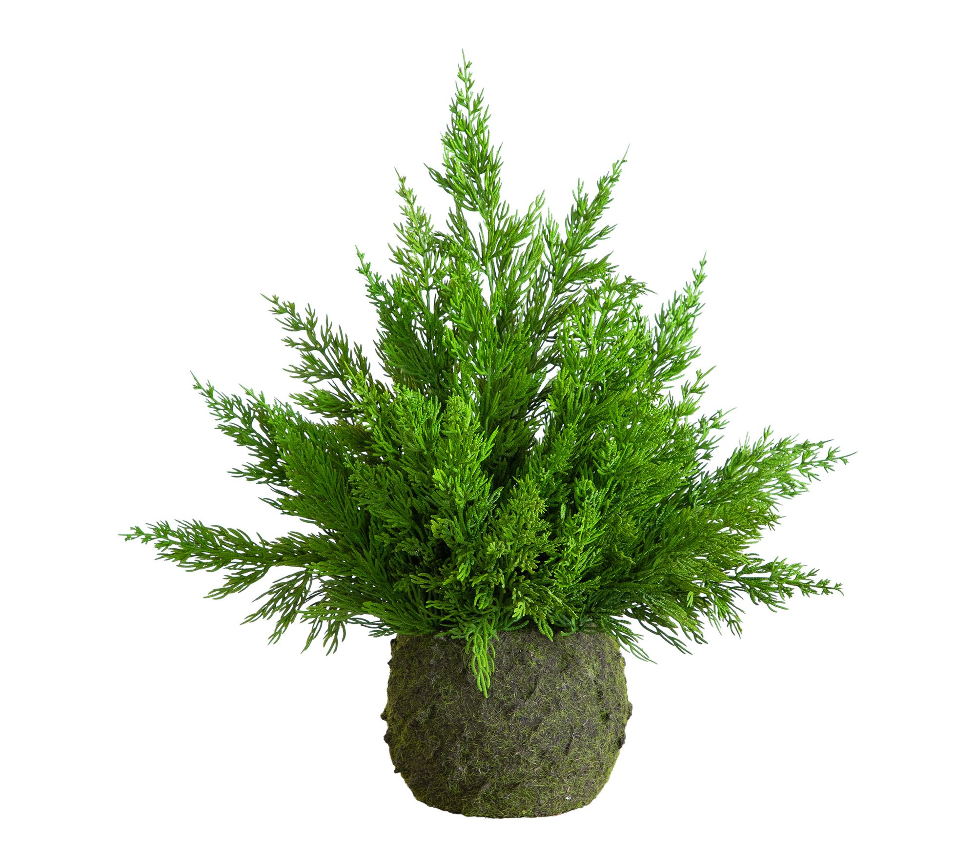 18-in Real Touch Winter Cypress Bush by Nearly Natural