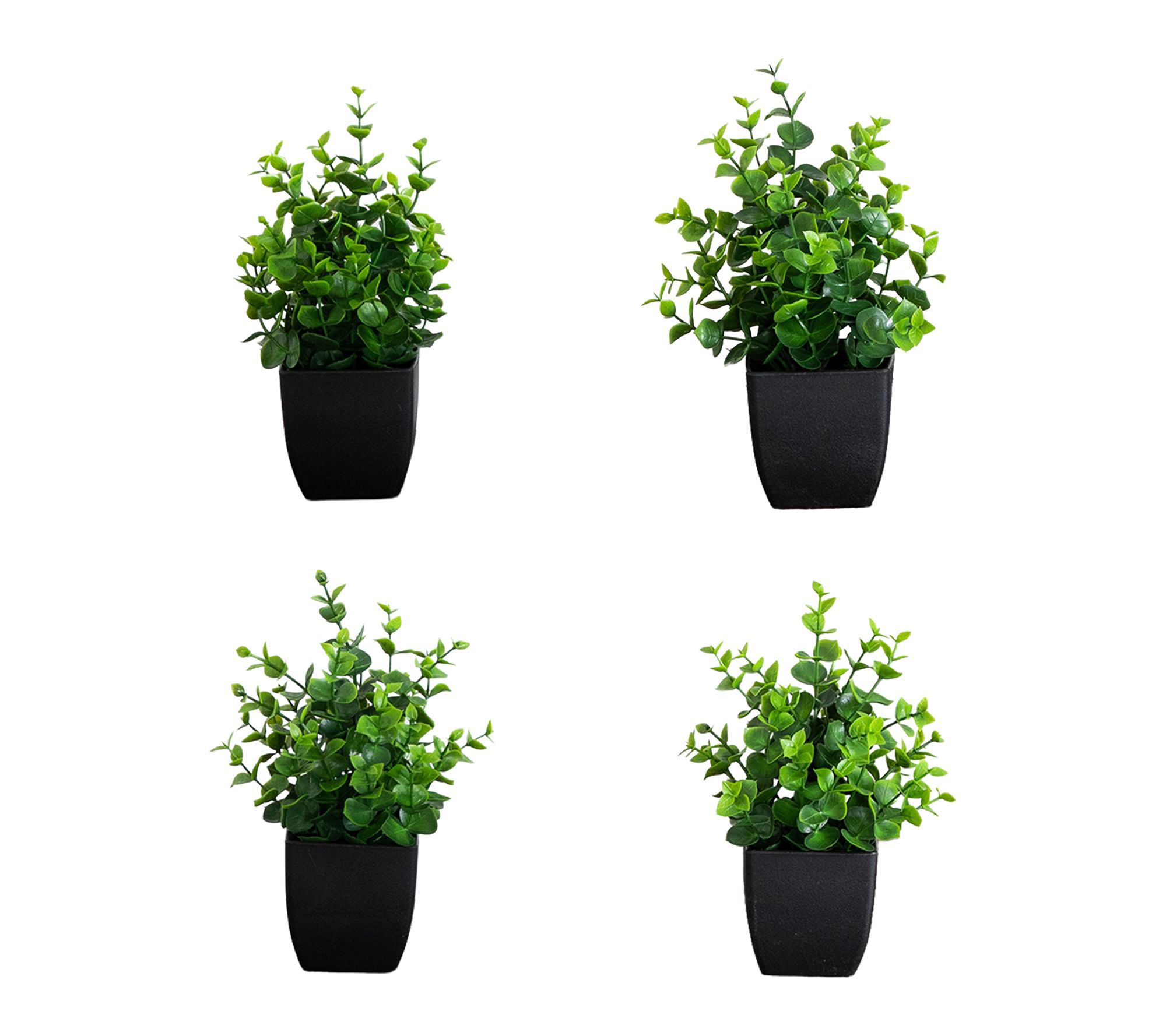 7-in Boxwood Plant in Square Pot - Set of 4 by Nearly Natural