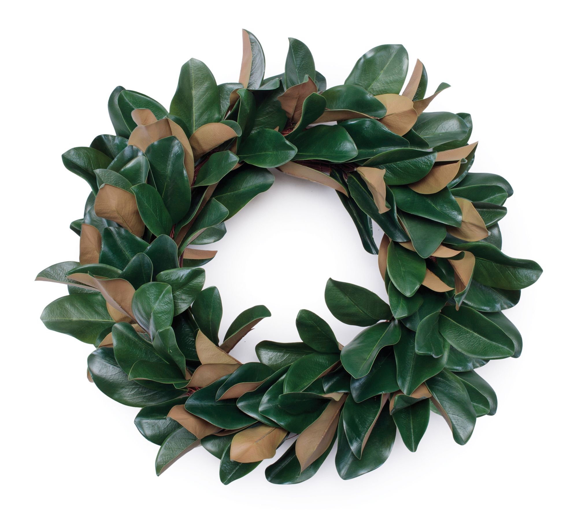 Melrose Magnolia Leaf Wreath 24"D