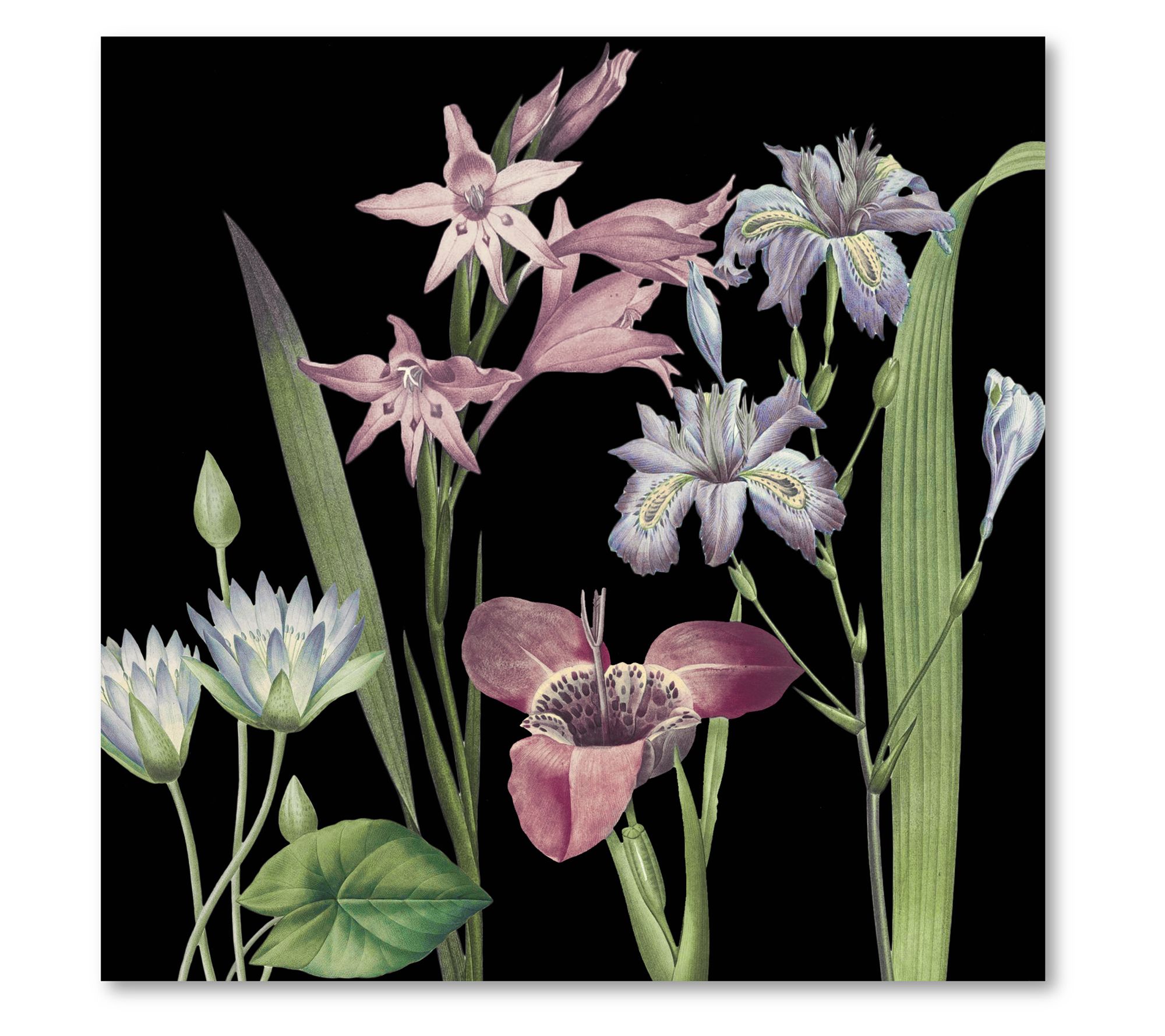 Courtside Market Dusty Plum Botanical II 16x16Canvas Wall Art