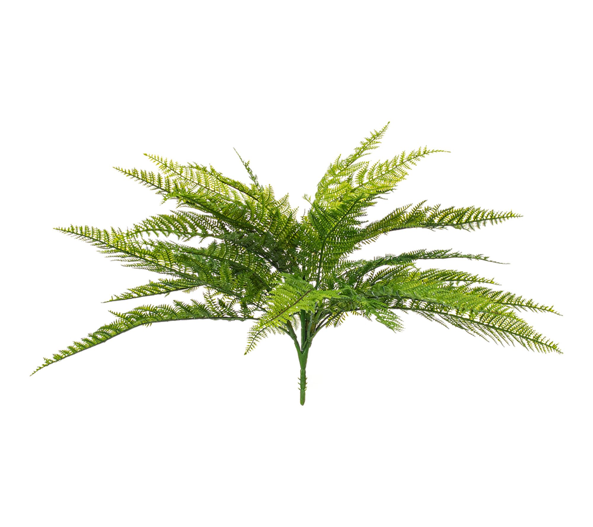 Vickerman 22" Green Leather Fern UV