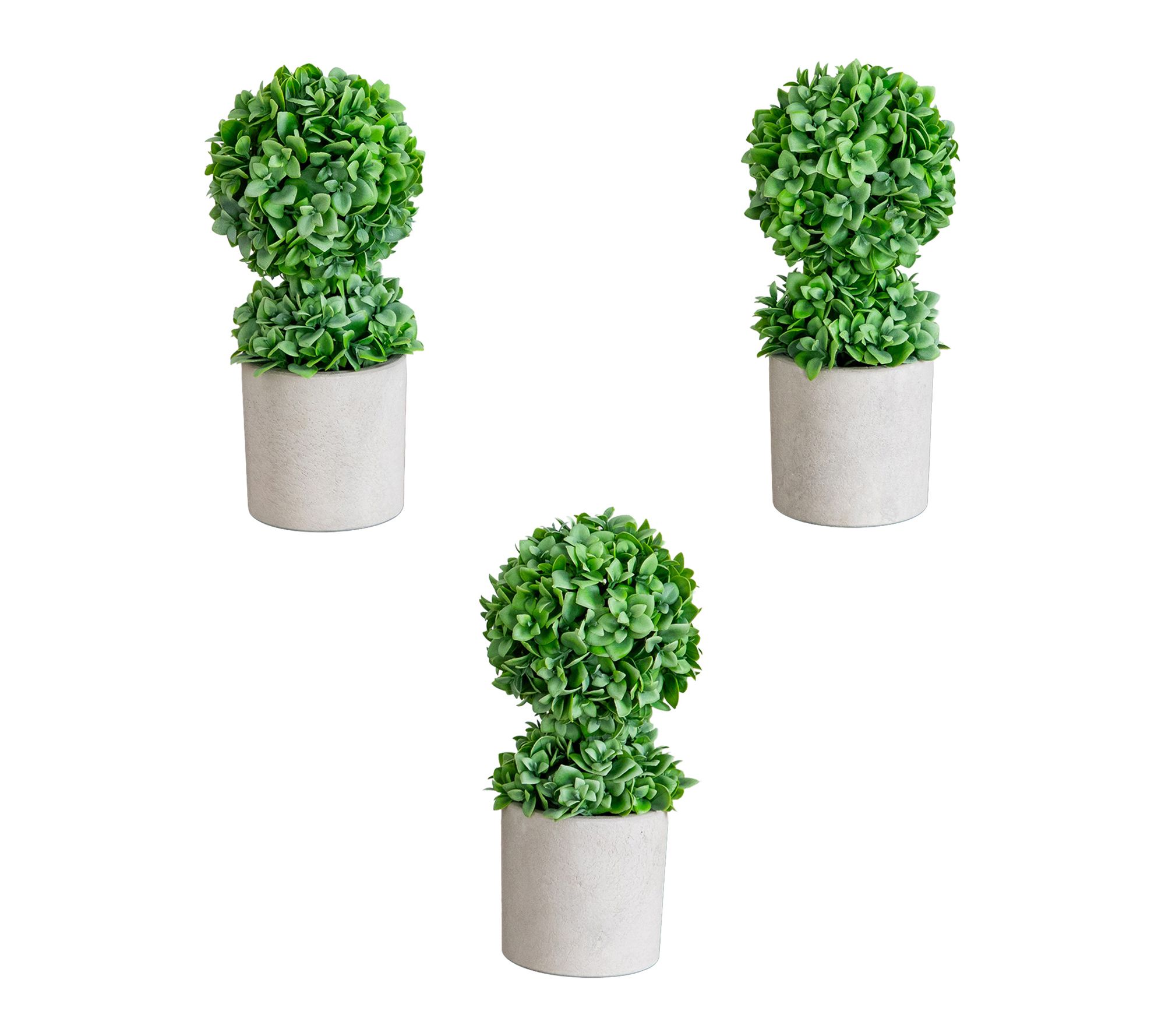 Mini Boxwood Plant in Planter - Set of 3 by Nearly Natural