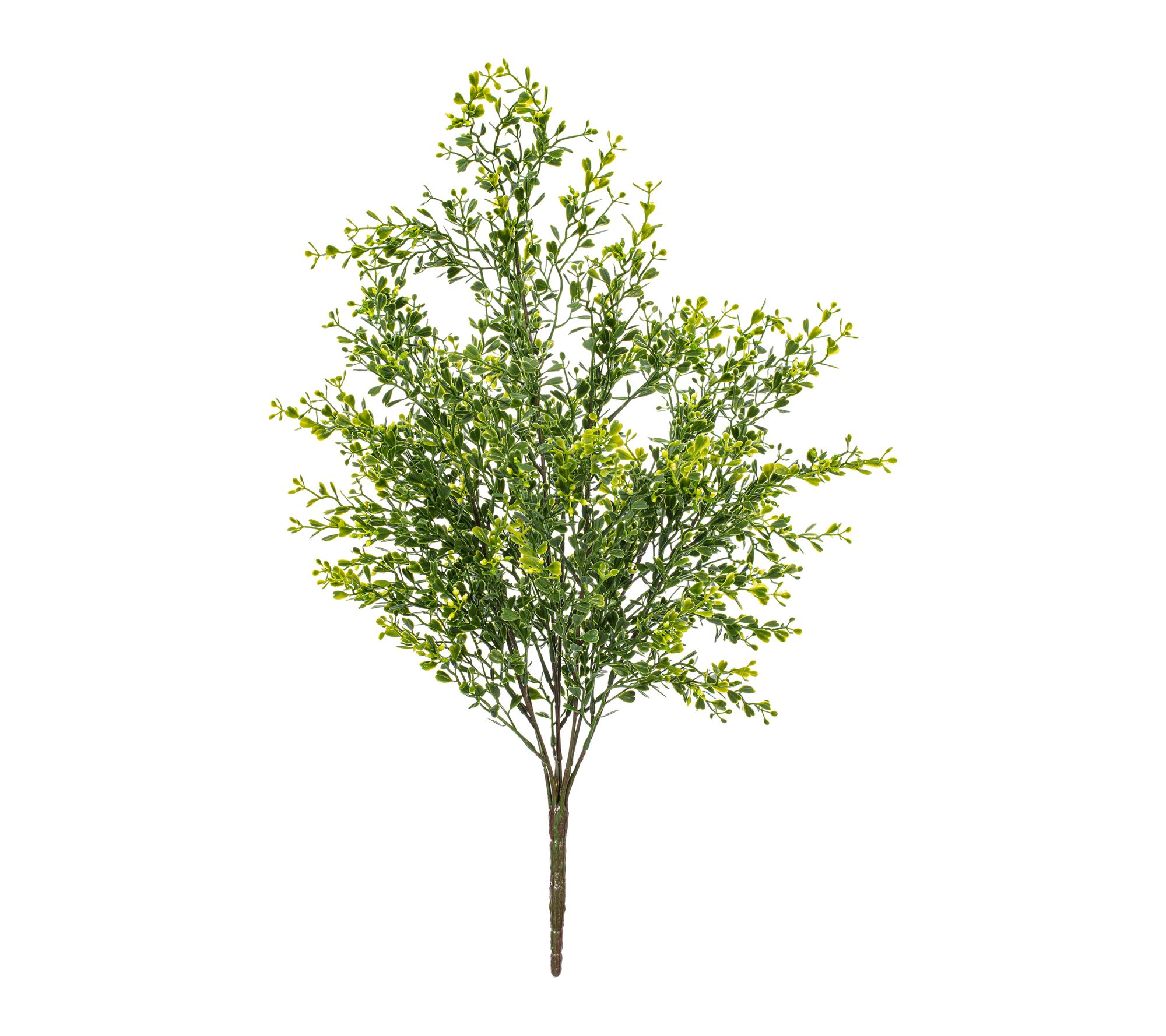 Vickerman 22.5" Green Boxwood Bush UV