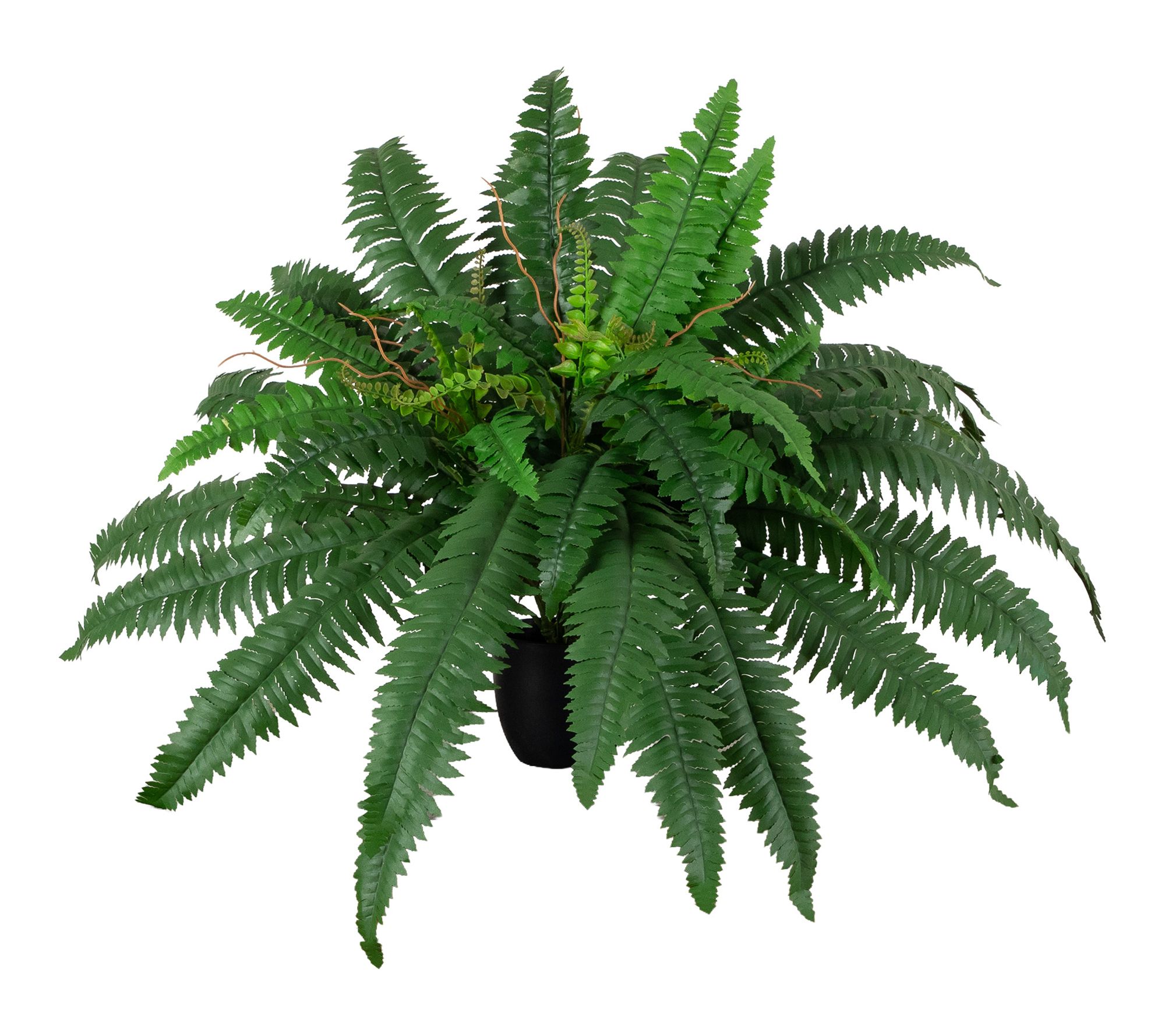 20-in Self shaped Boston Fern in Black Pot by Nearly Natural