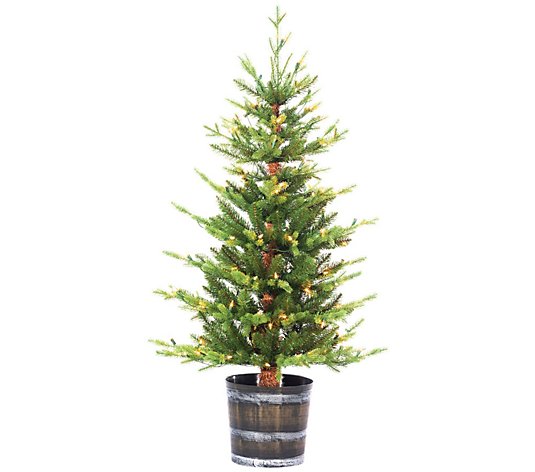 4-Ft H Potted Natural Cut Glendale Pine by Sterling Co
