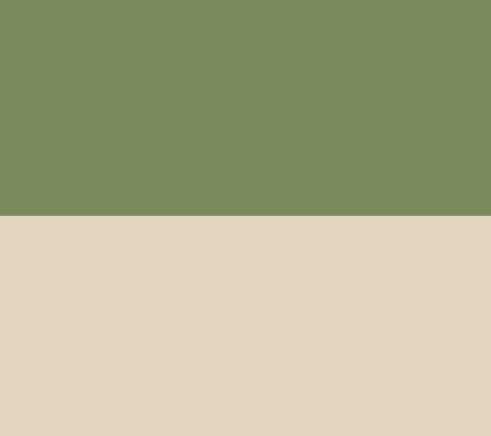 Green/Beige