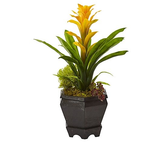 Bromeliad in Black Hexagon Planter by Nearly Natural