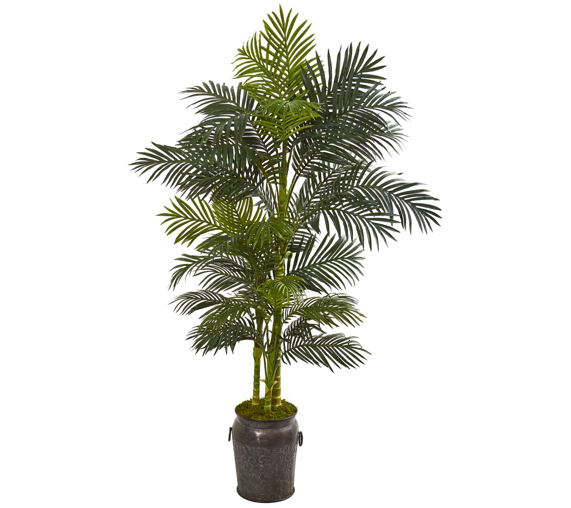 7' Golden Cane Palm in Decorative Planter by Nearly Natural - QVC.com