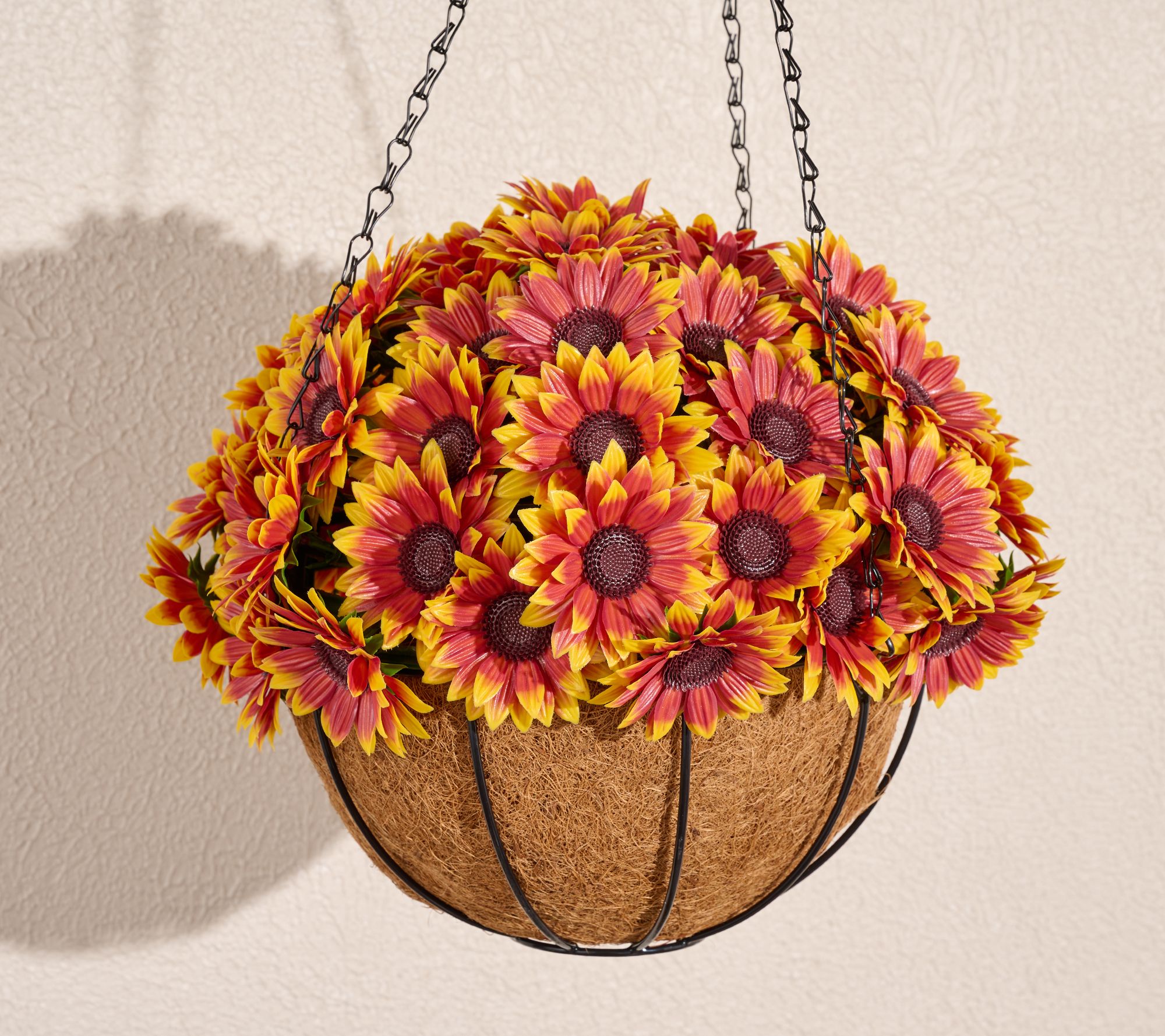 Wicker Park Golden Sunflower Hanging Basket