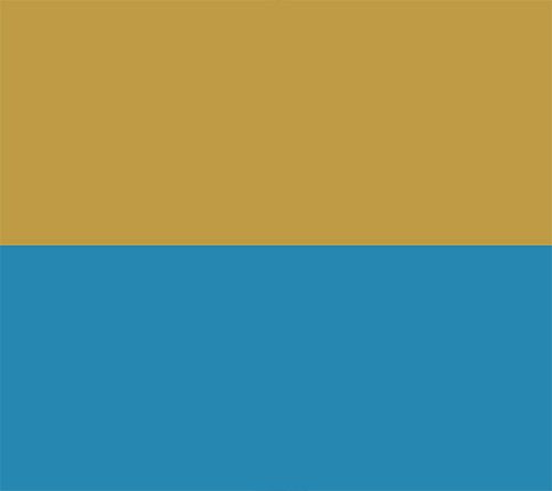 Yellow/Blue