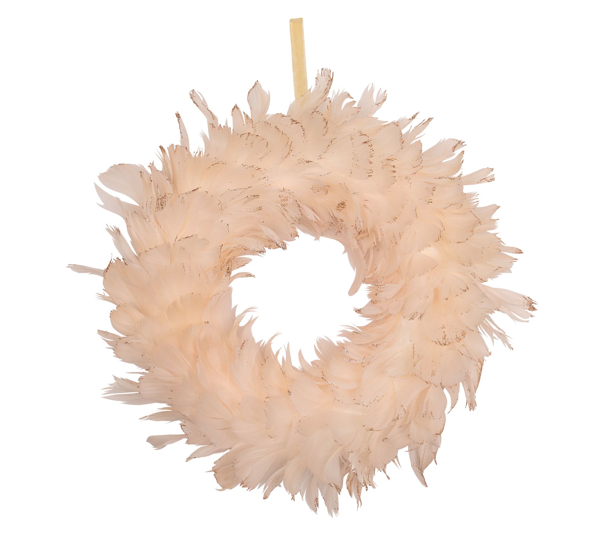 Northlight Glittered Feathers Christmas Wreath 14.5" Unlit