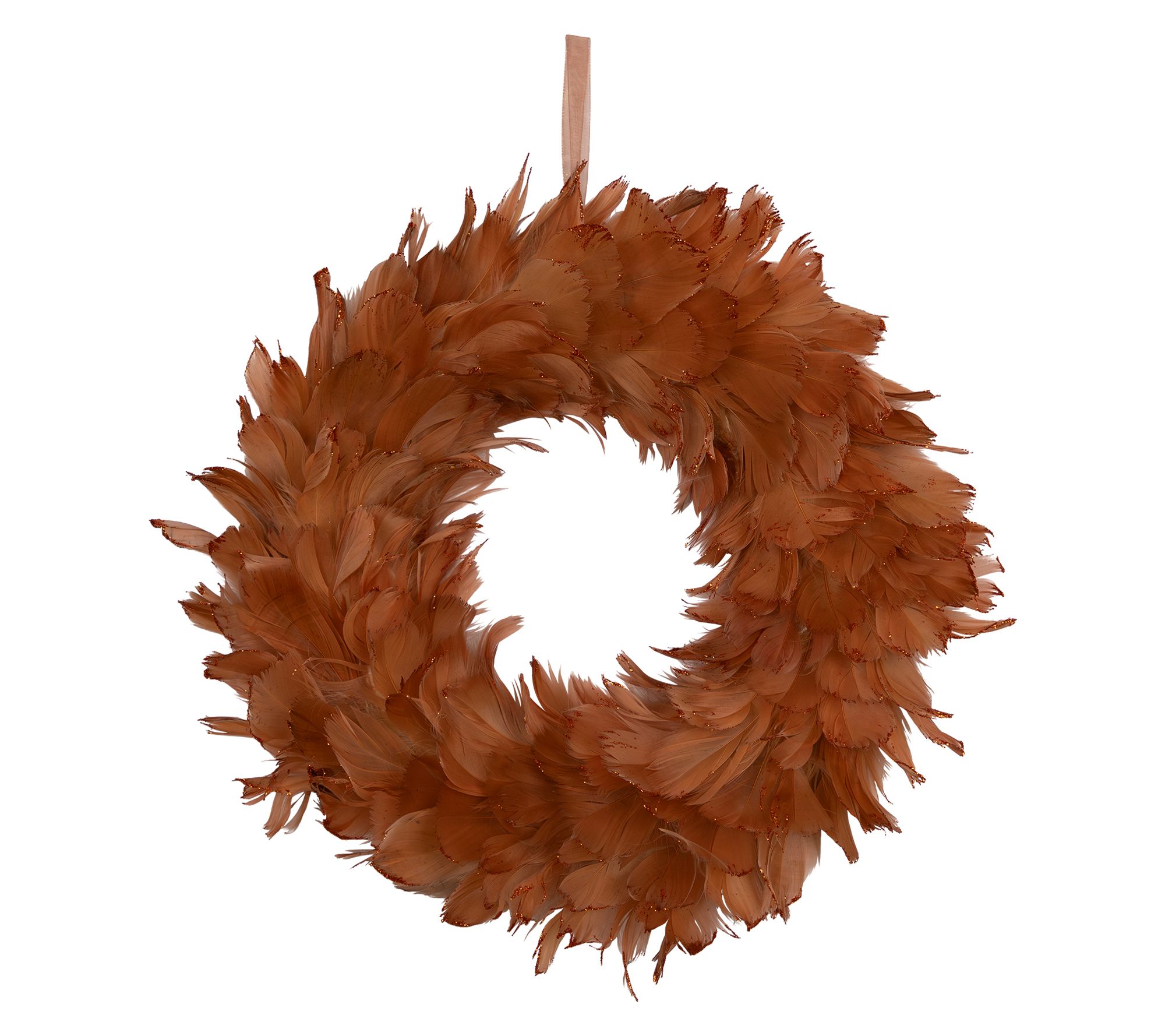 Northlight Glittered Feathers Christmas Wreath 14.5" Unlit
