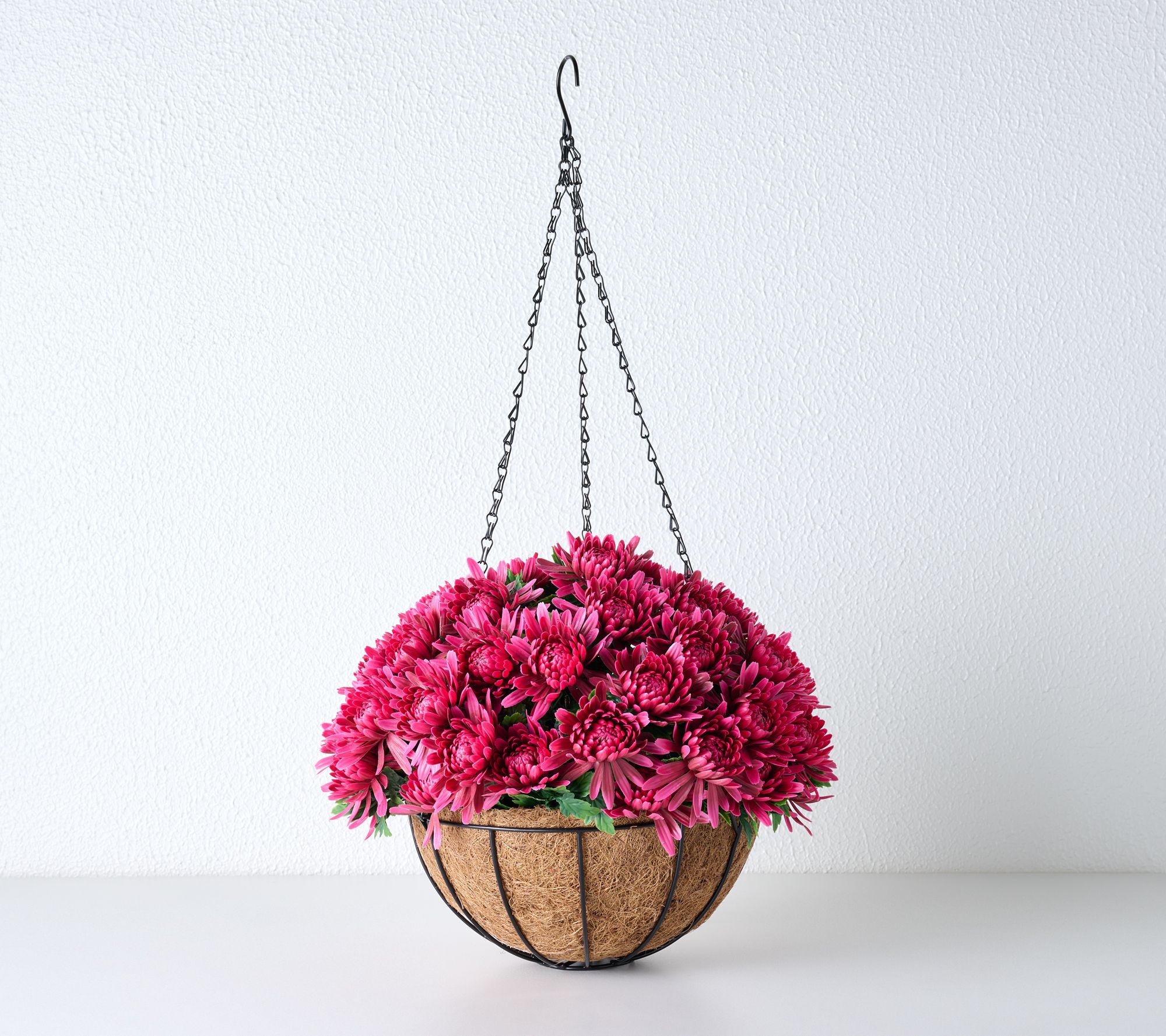 "As Is" Wicker Park 16" Chrysanthemum Hanging Basket