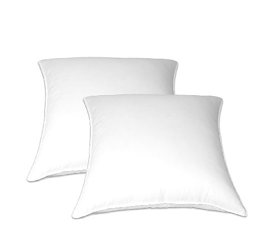 Blue Ridge 2-Pack of Feather European Square Pillows