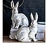Barbara King Hector Long-Eared Rabbit with Raised Paw, 1 of 1
