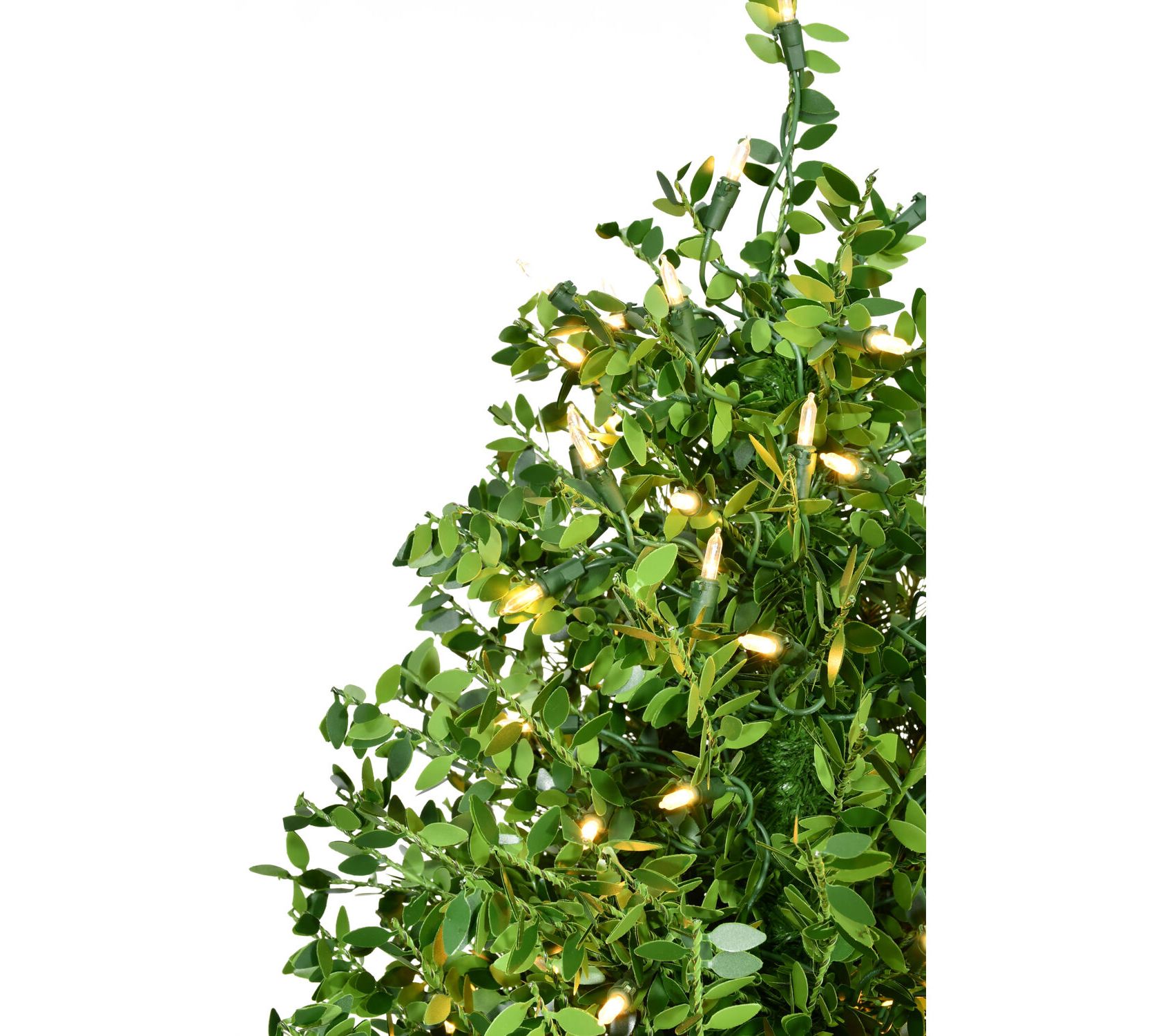 Fraser Hill Farm 3' Boxwood Porch Tree S/2