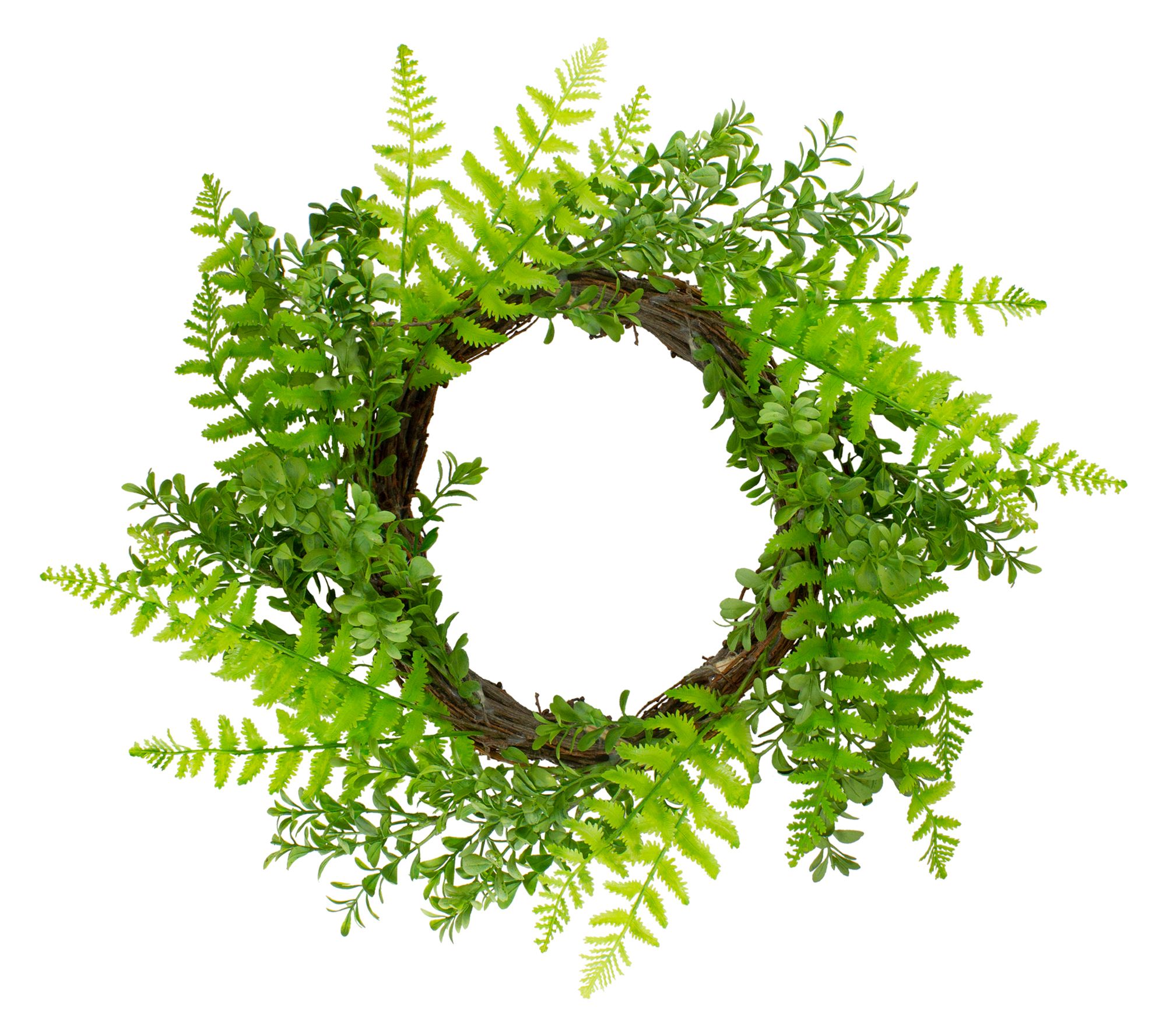 Northlight Fern Leaf Springtime Wreath  Green - 18-Inch