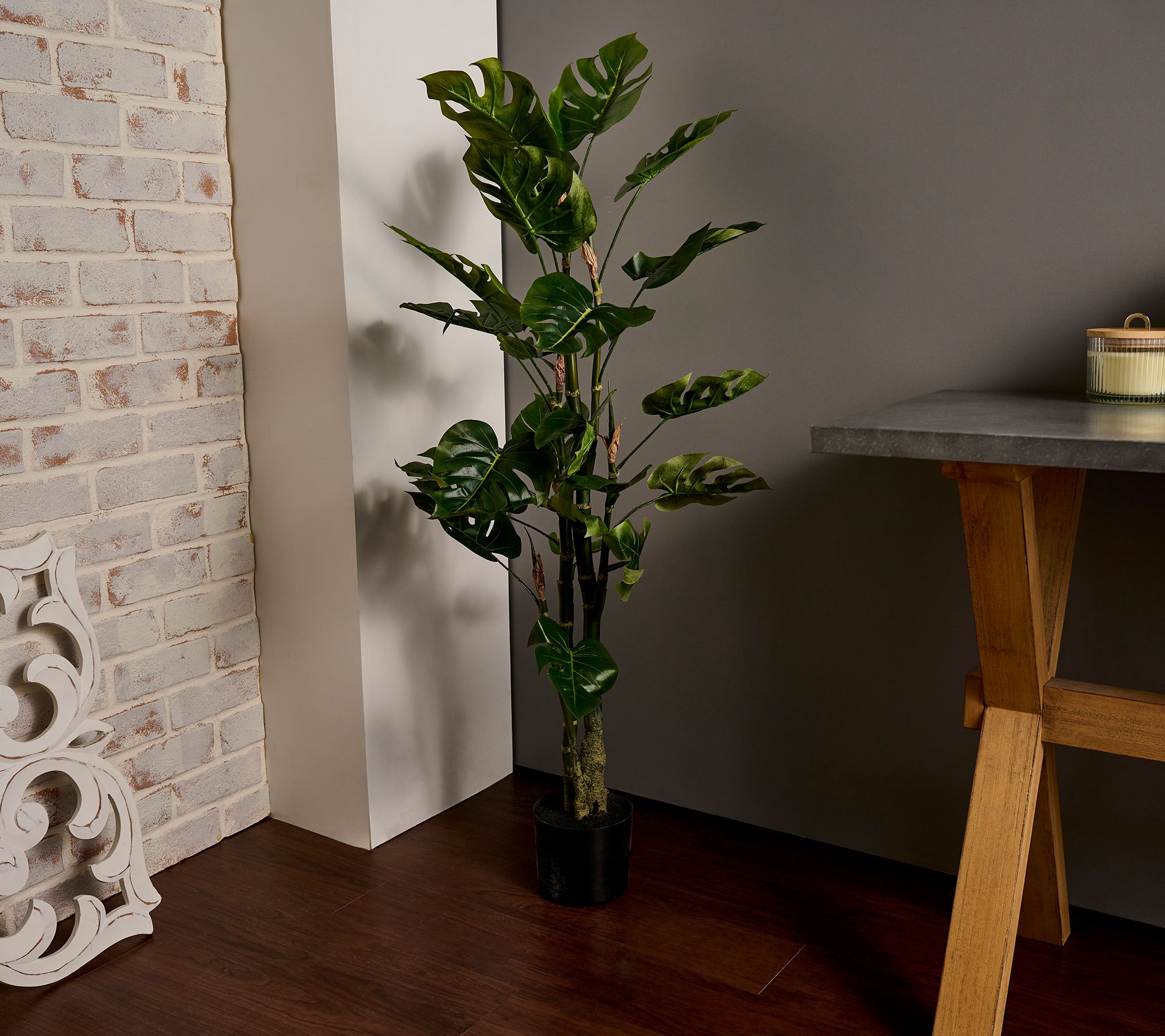 "As Is" 4' Monstera Potted Plant by Valerie