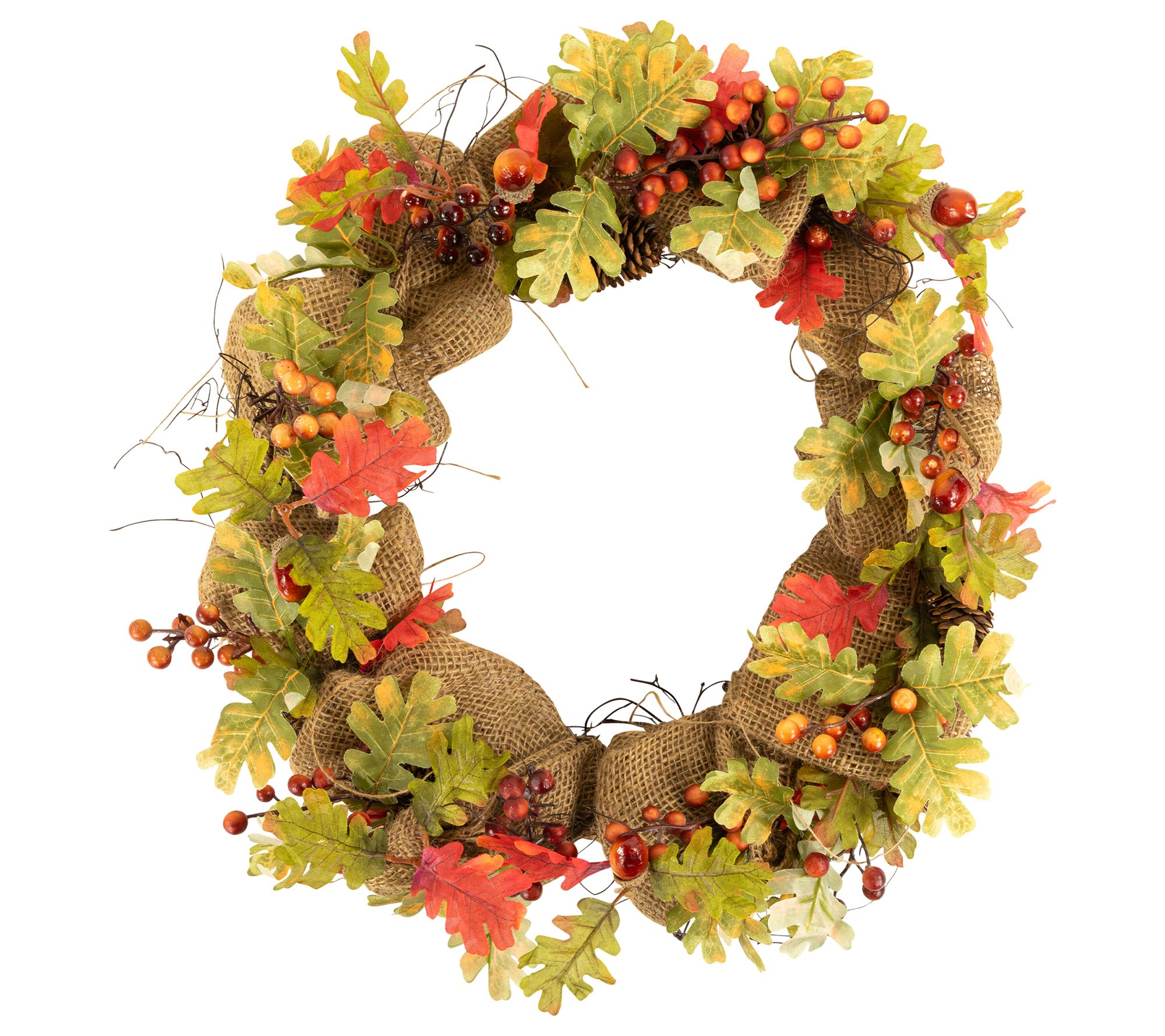 Northlight Berries and Pinecones Harvest Twig Wreath 18" Unlit