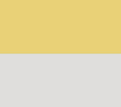 Yellow/White