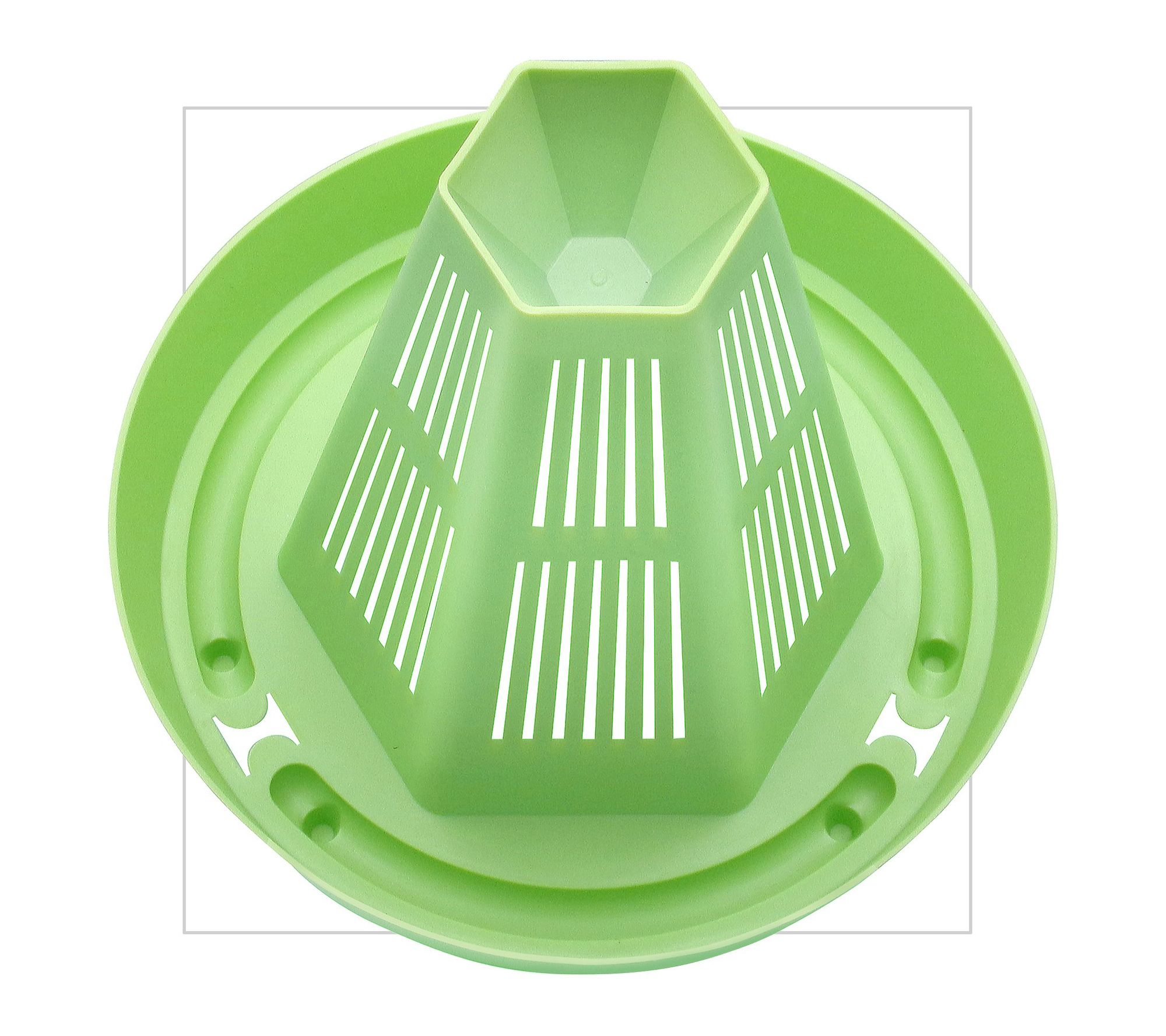 Plant Warrior Root Warrior Large Set of 6